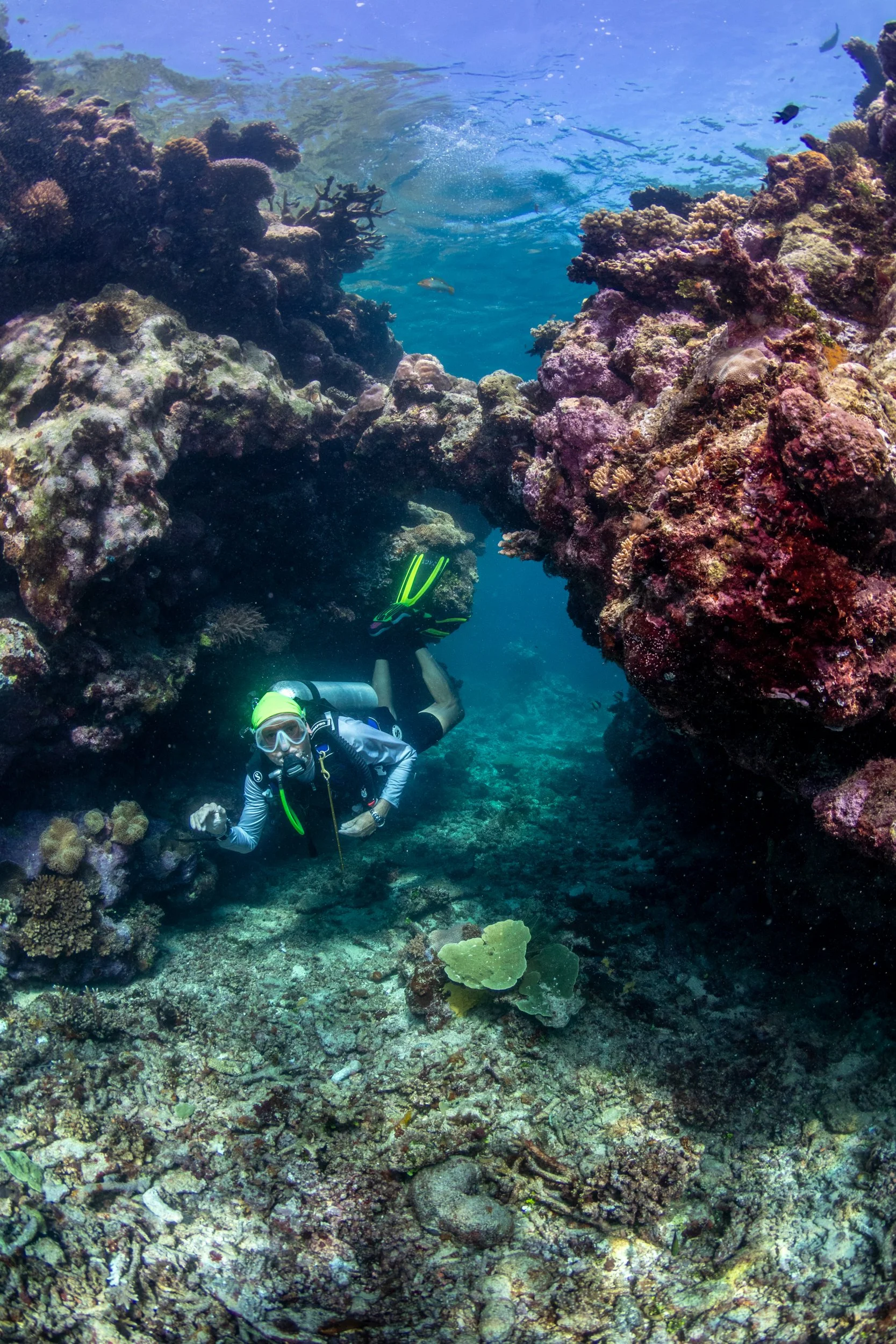 Solomon_Islands_2026-048.jpg