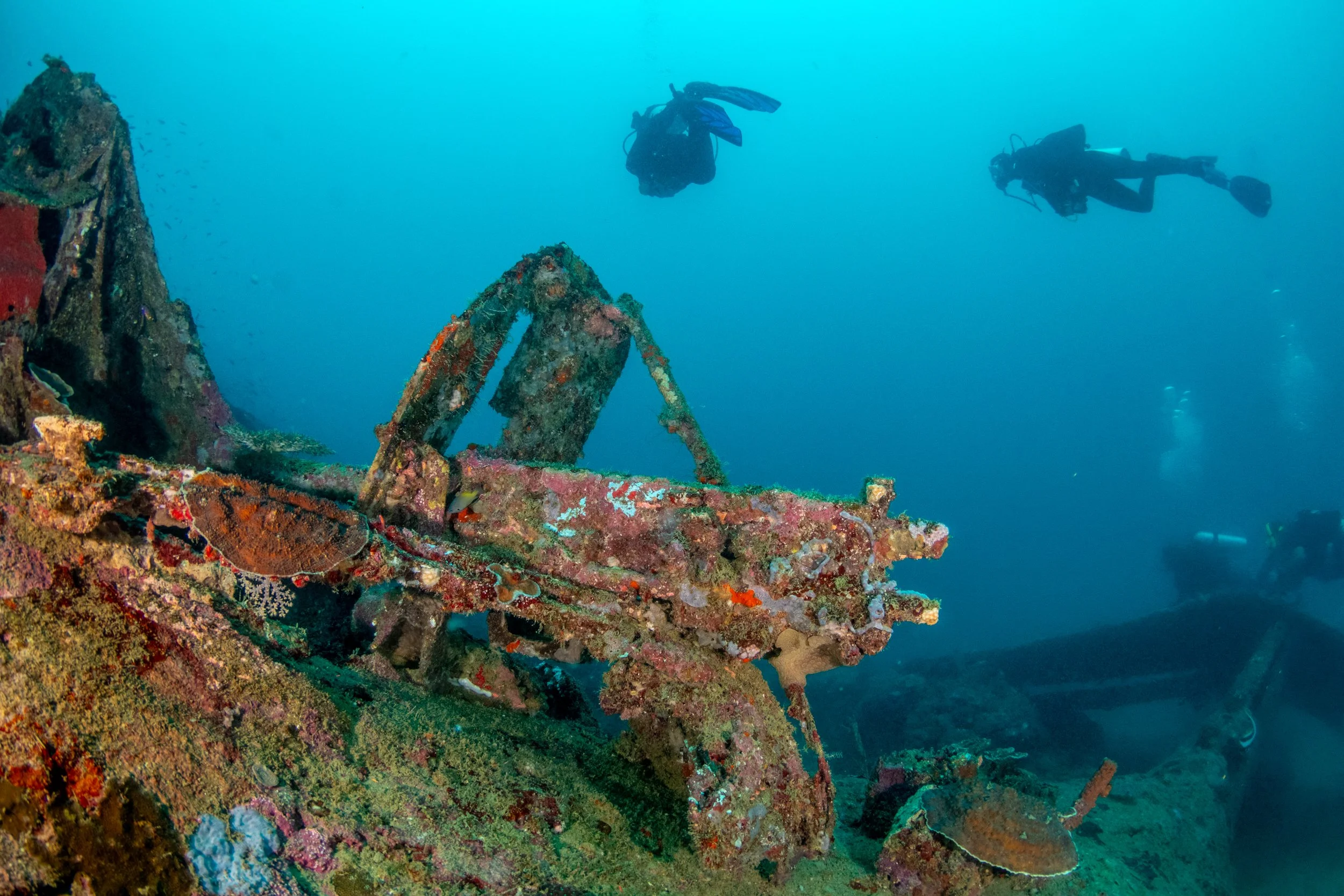 Solomon_Islands_2026-009.jpg