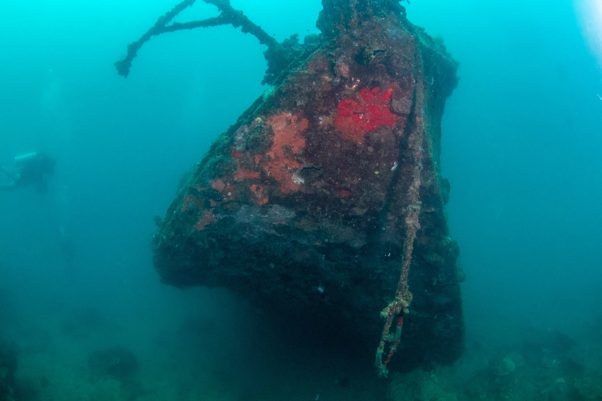 Solomon_Islands_2026-038.jpg