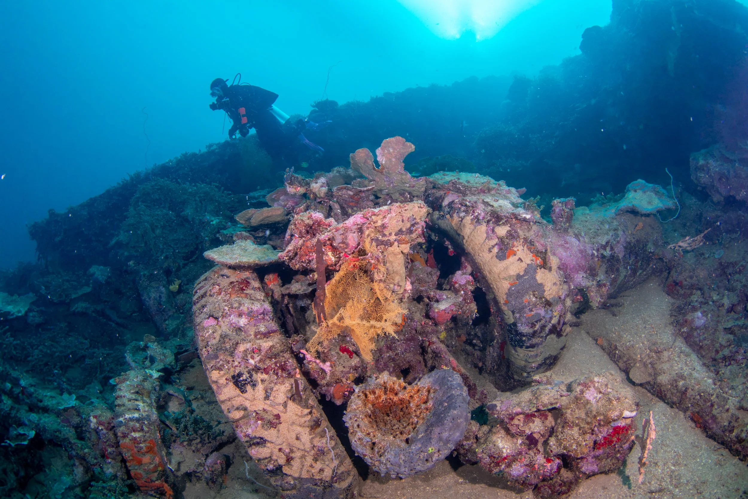 Solomon_Islands_2026-089.jpg