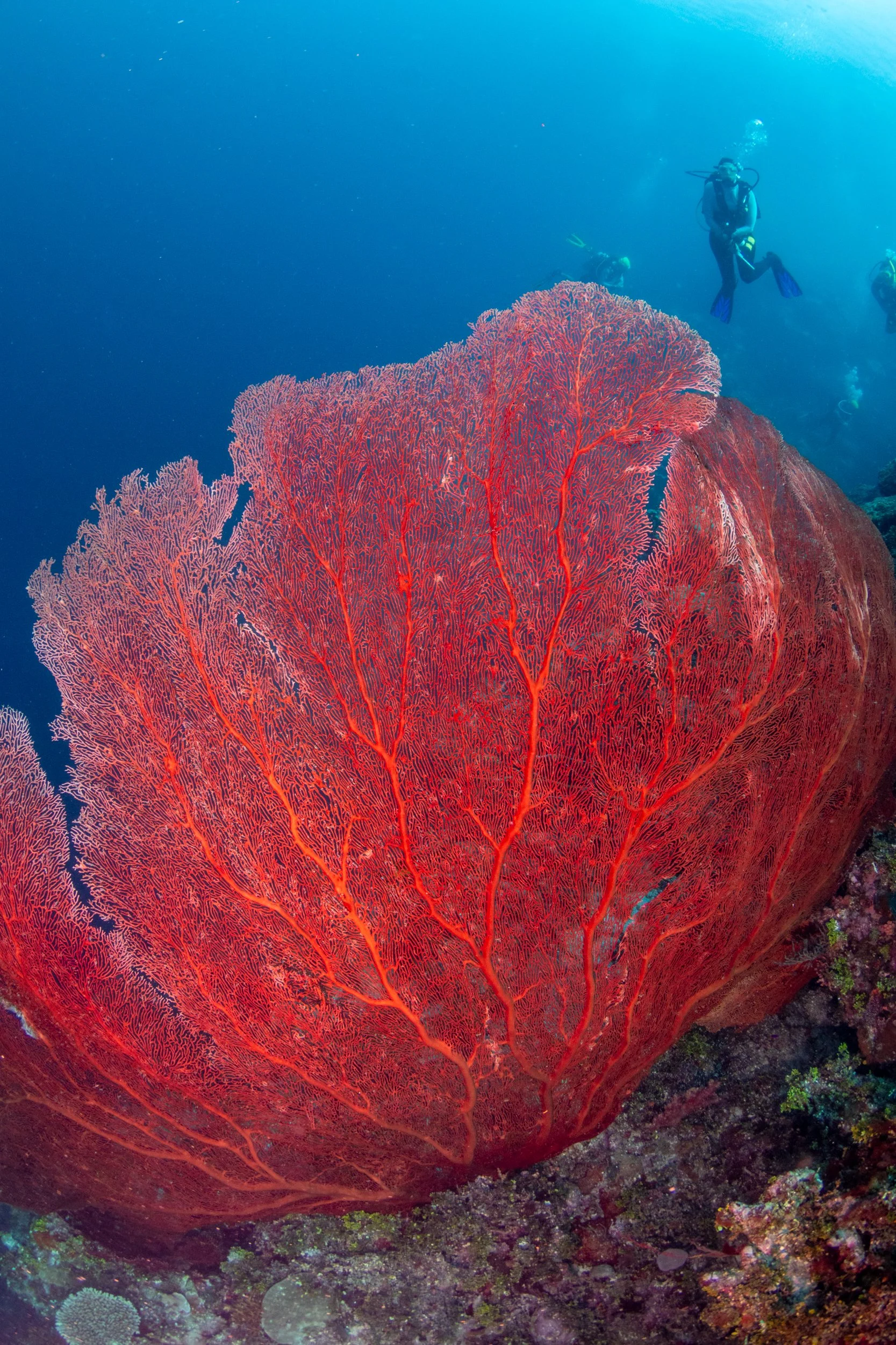Solomon_Islands_2026-060.jpg