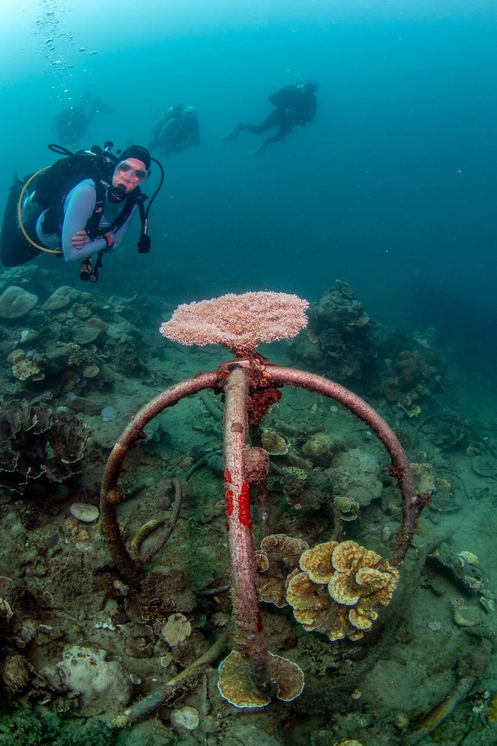 Solomon_Islands_2026-041.jpg