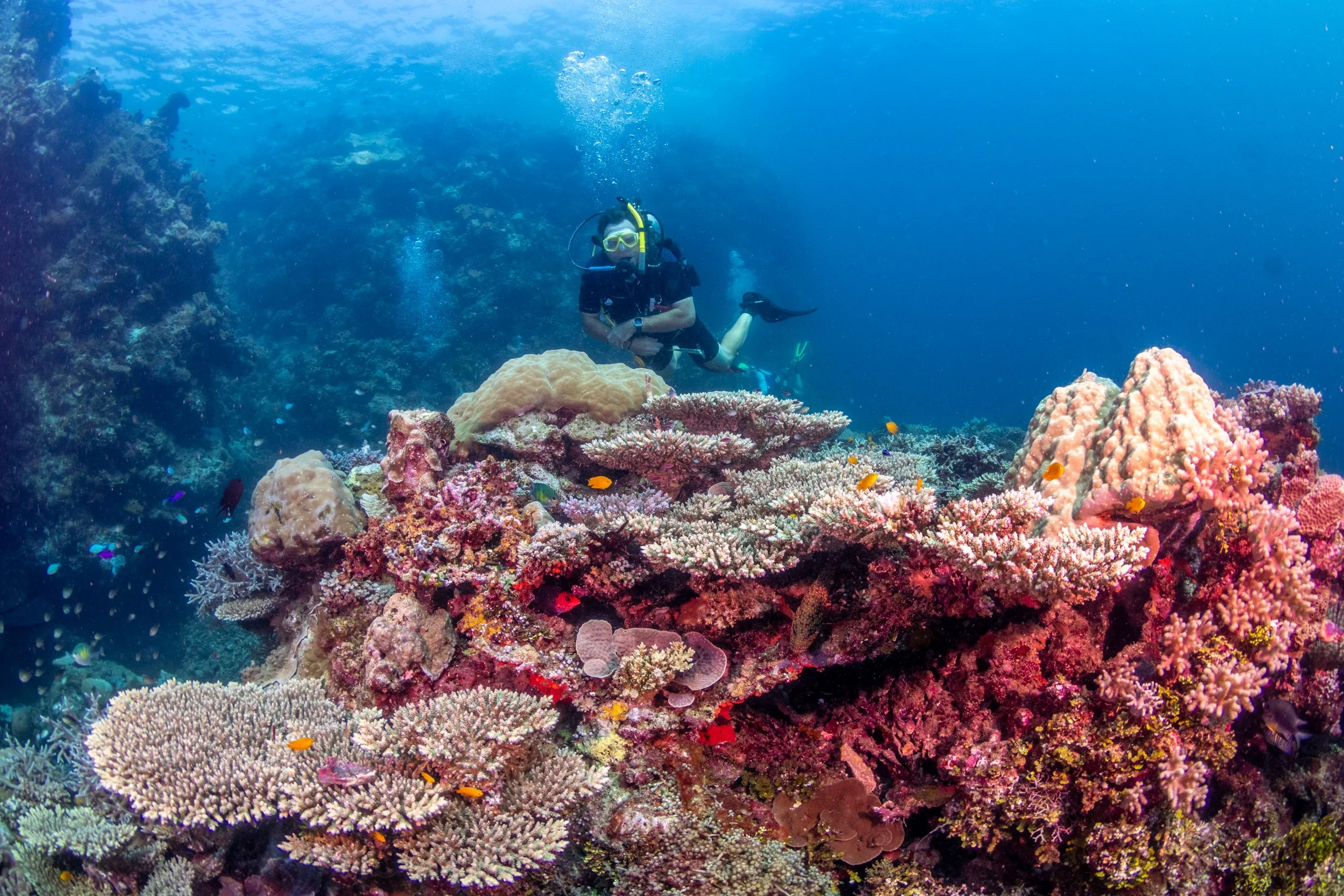 Solomon_Islands_2026-046.jpg