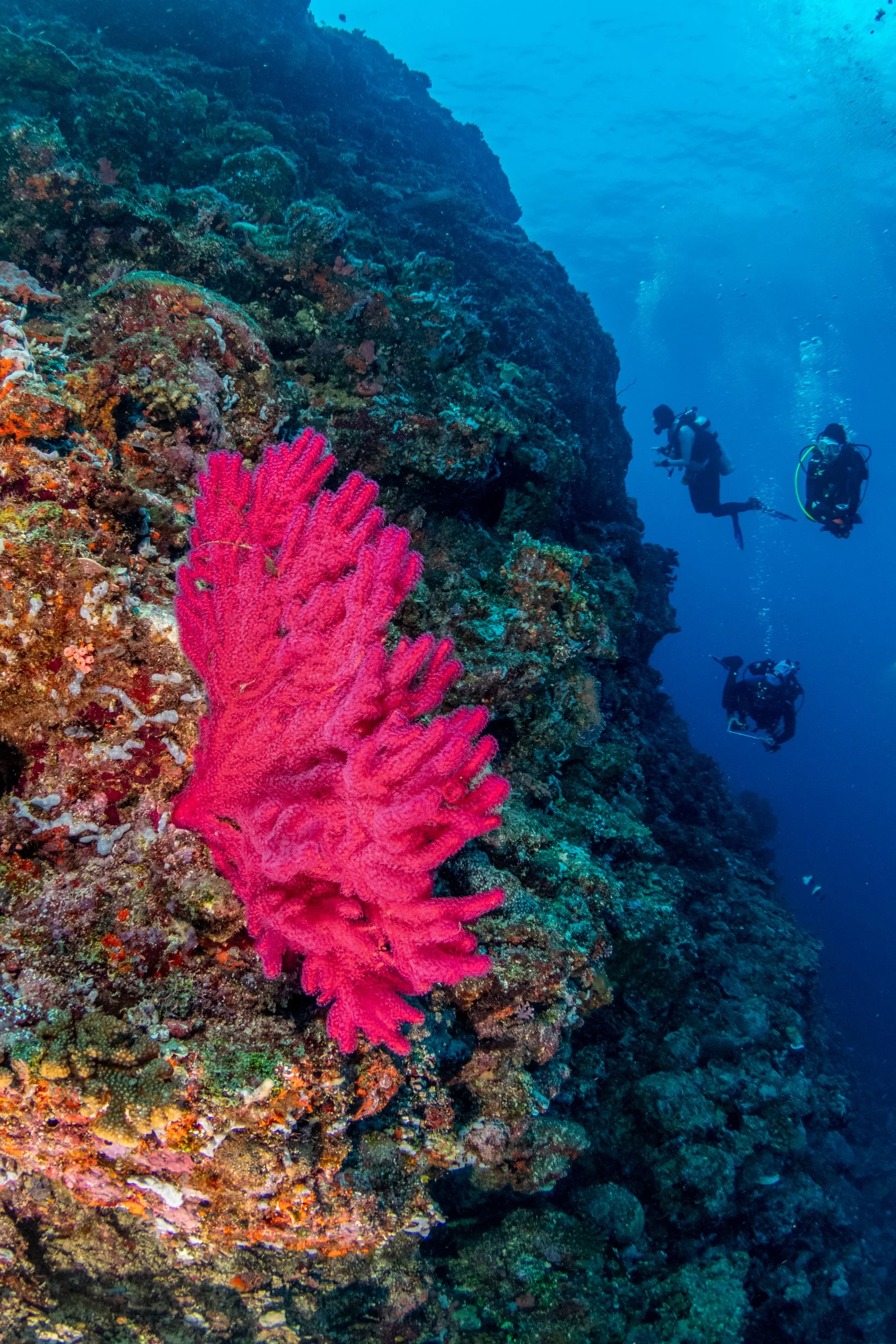 Solomon_Islands_2026-075.jpg
