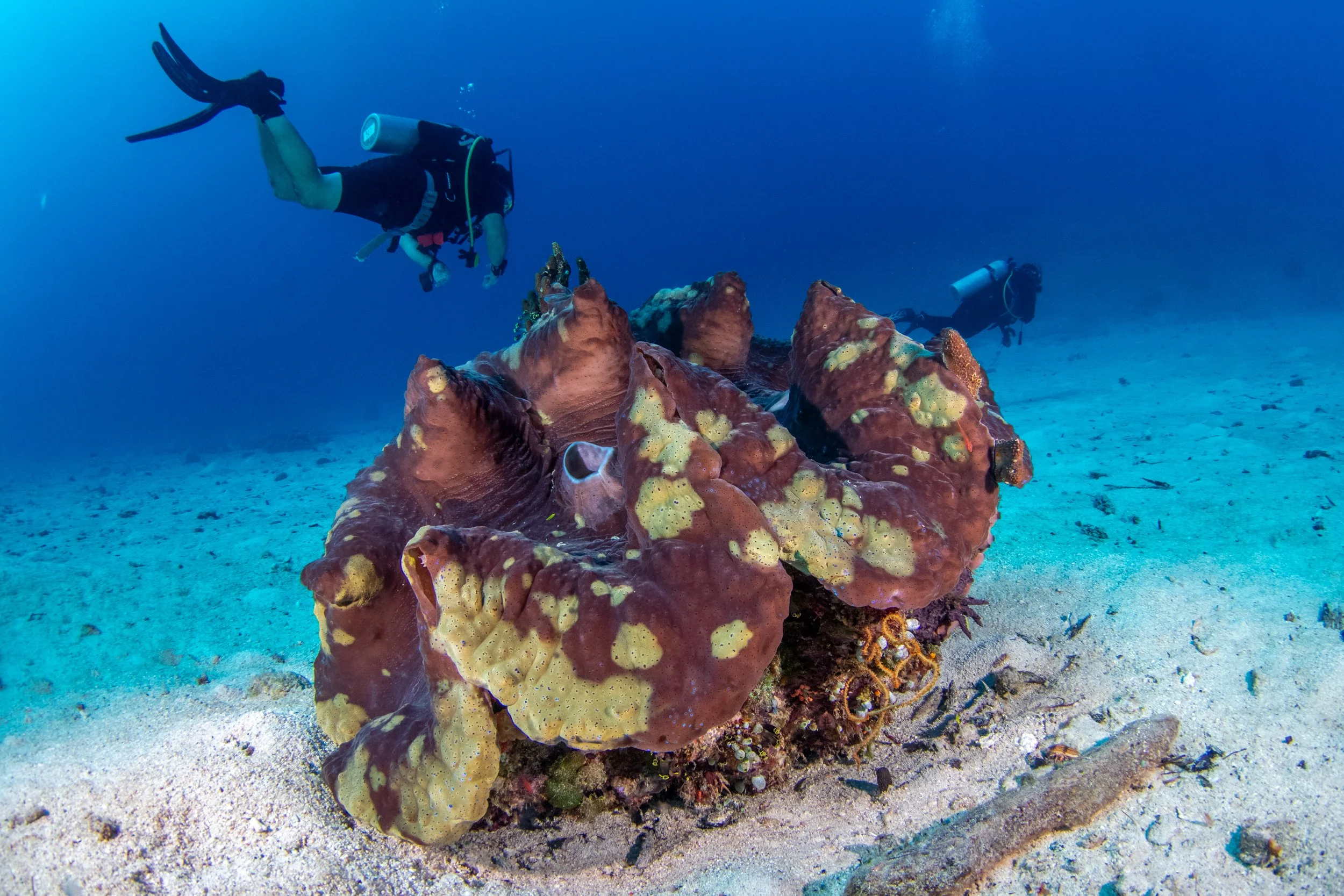 Solomon_Islands_2026-015.jpg