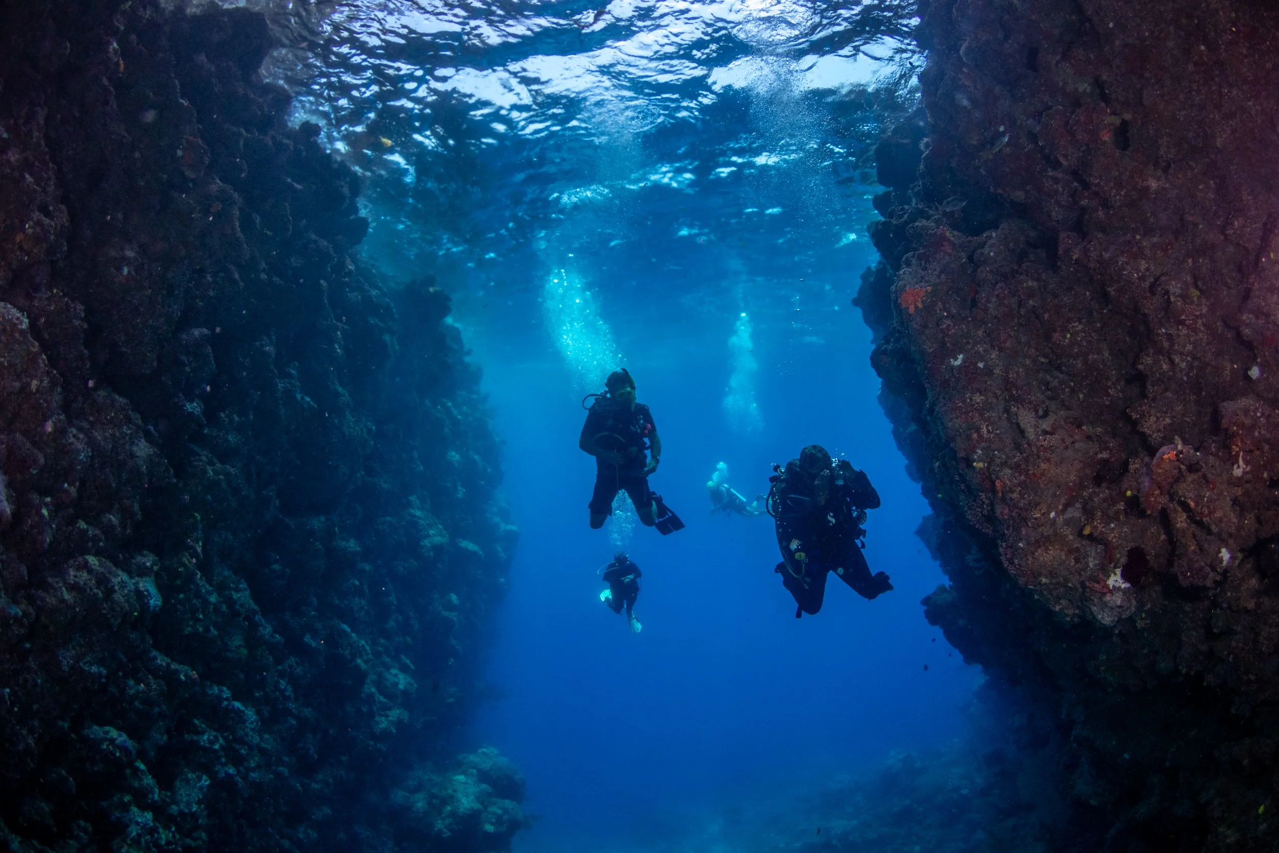 Solomon_Islands_2026-049.jpg