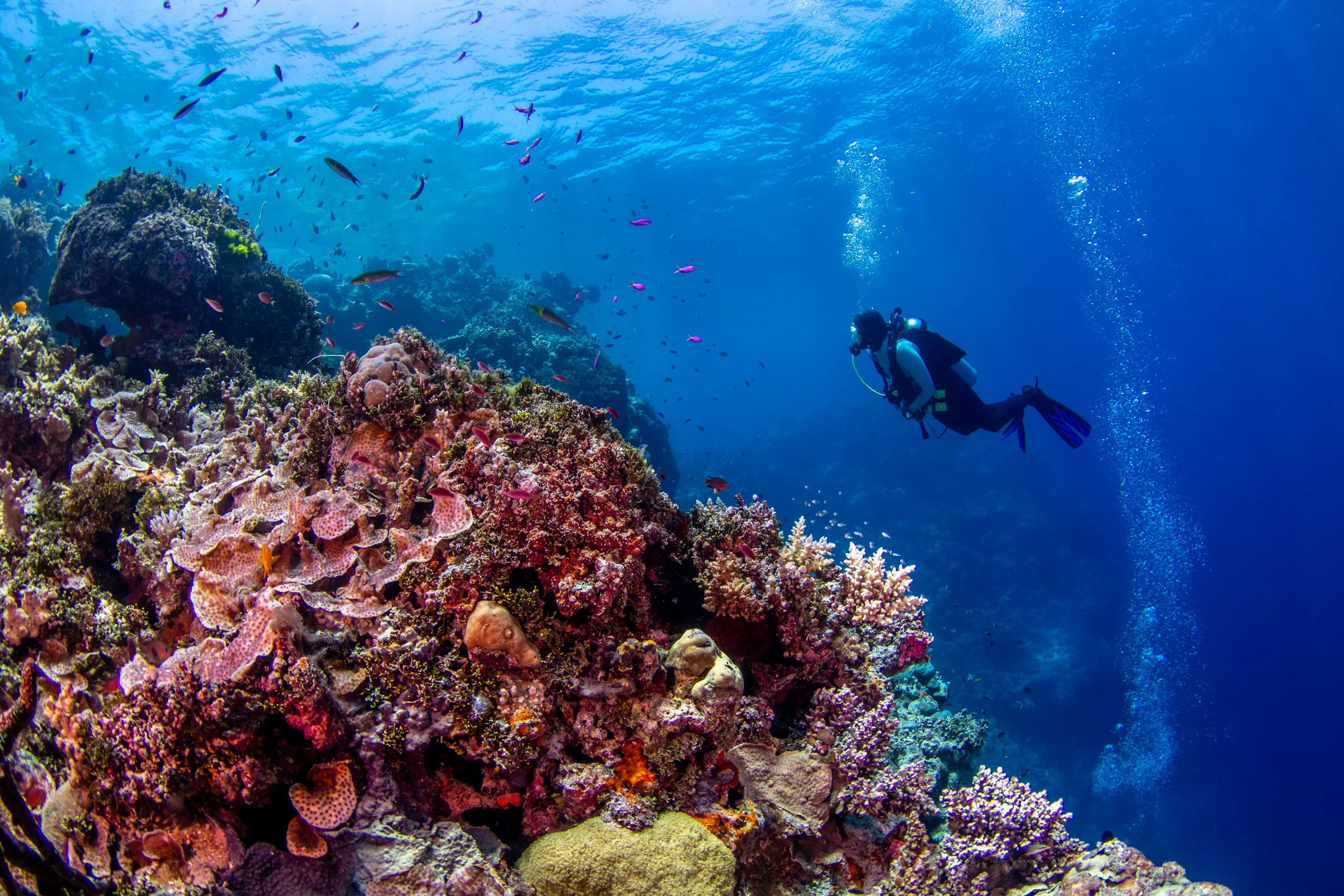 Solomon_Islands_2026-100.jpg