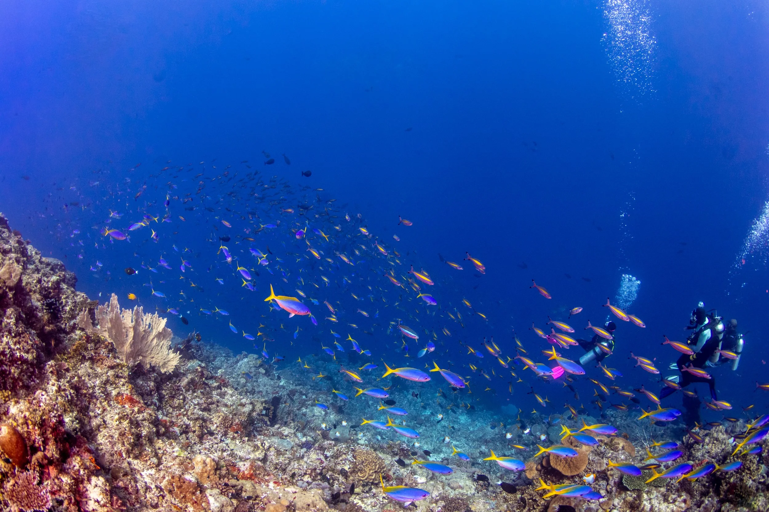 Solomon_Islands_2026-077.jpg