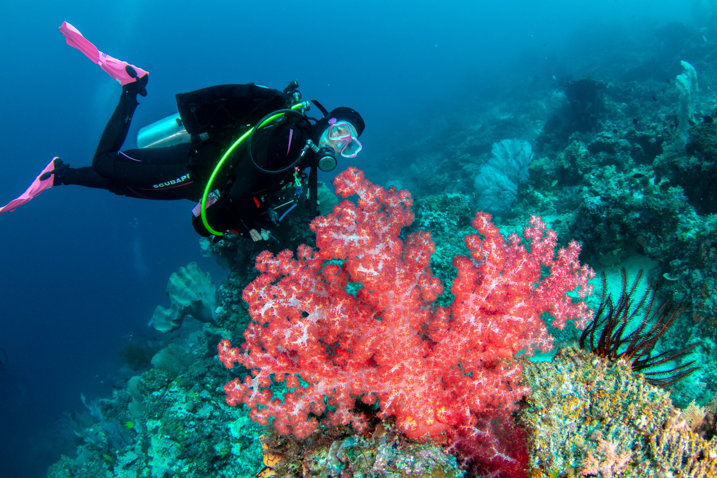 Solomon_Islands_2026-013.jpg