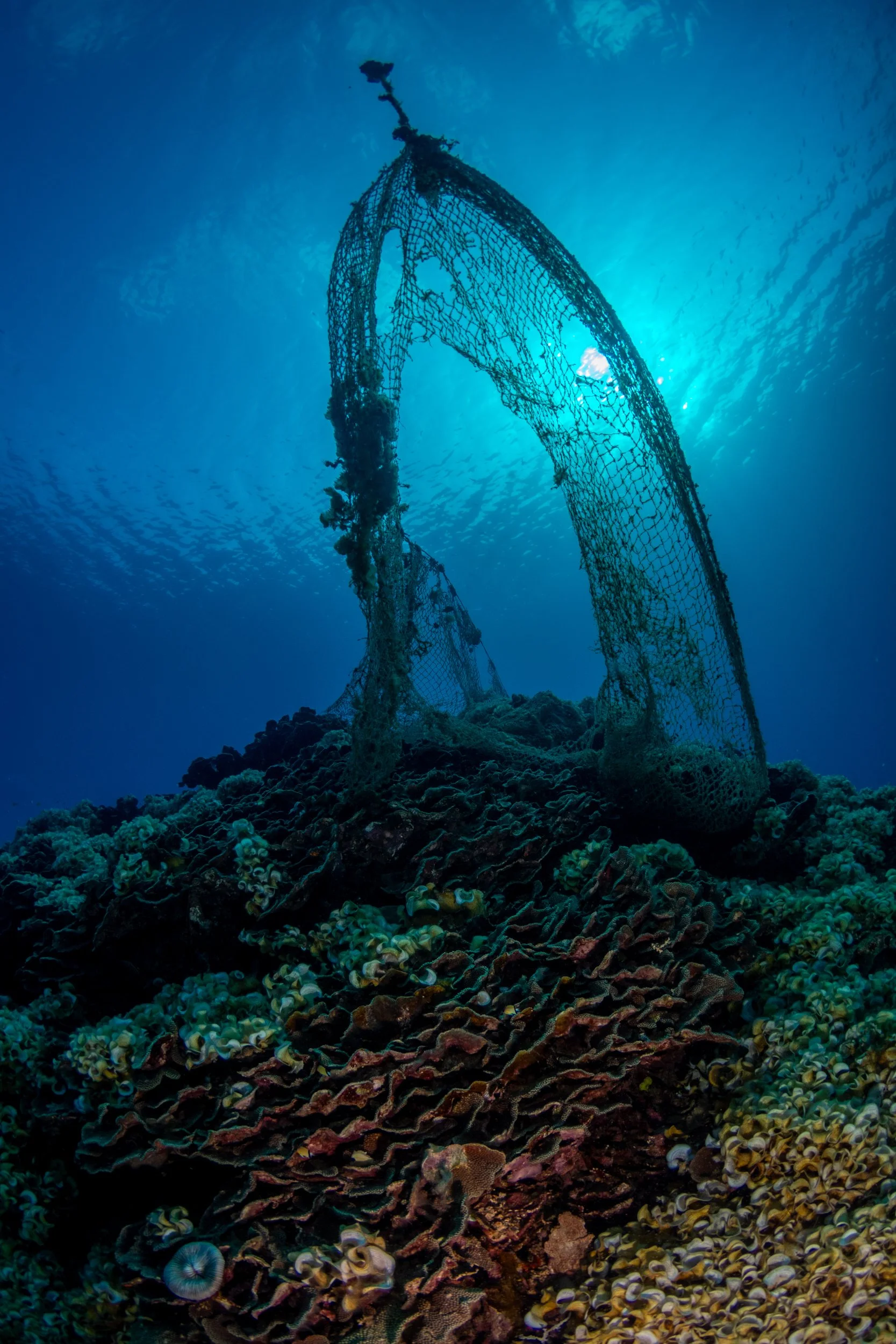 Solomon_Islands_2026-016.jpg