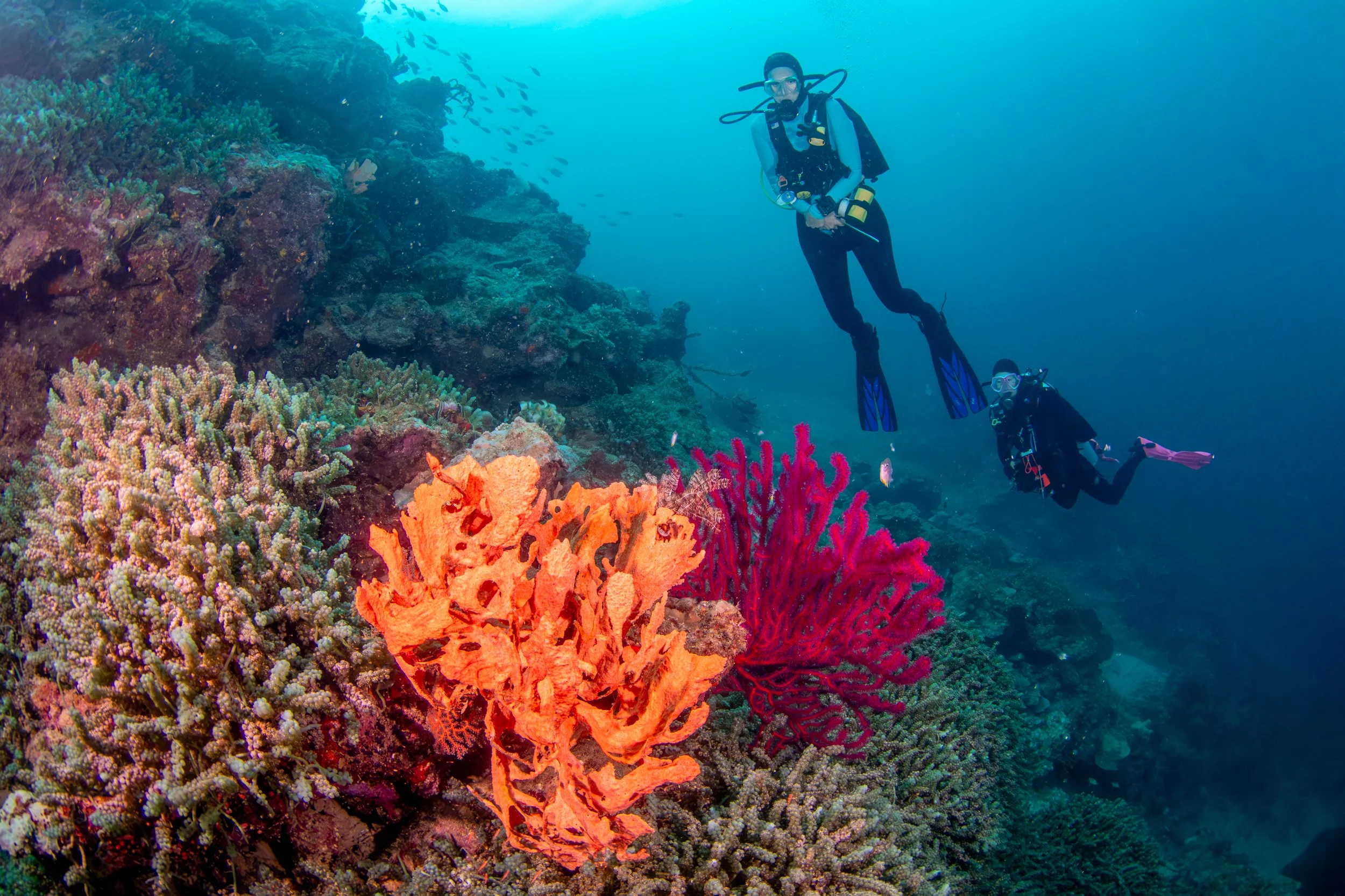 Solomon_Islands_2026-091.jpg