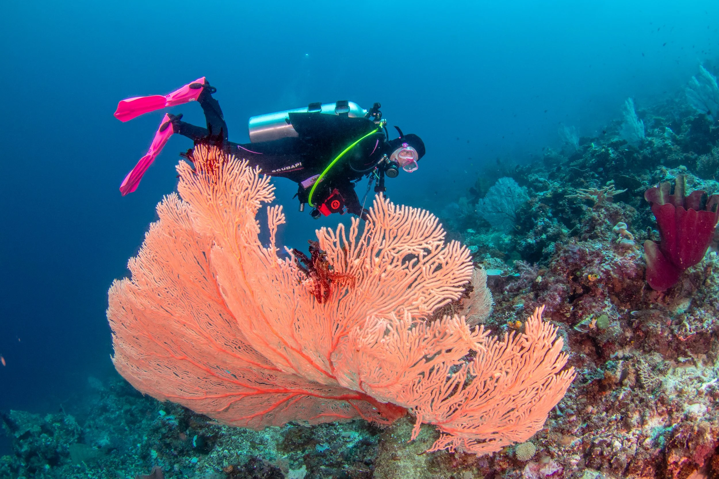 Solomon_Islands_2026-012.jpg