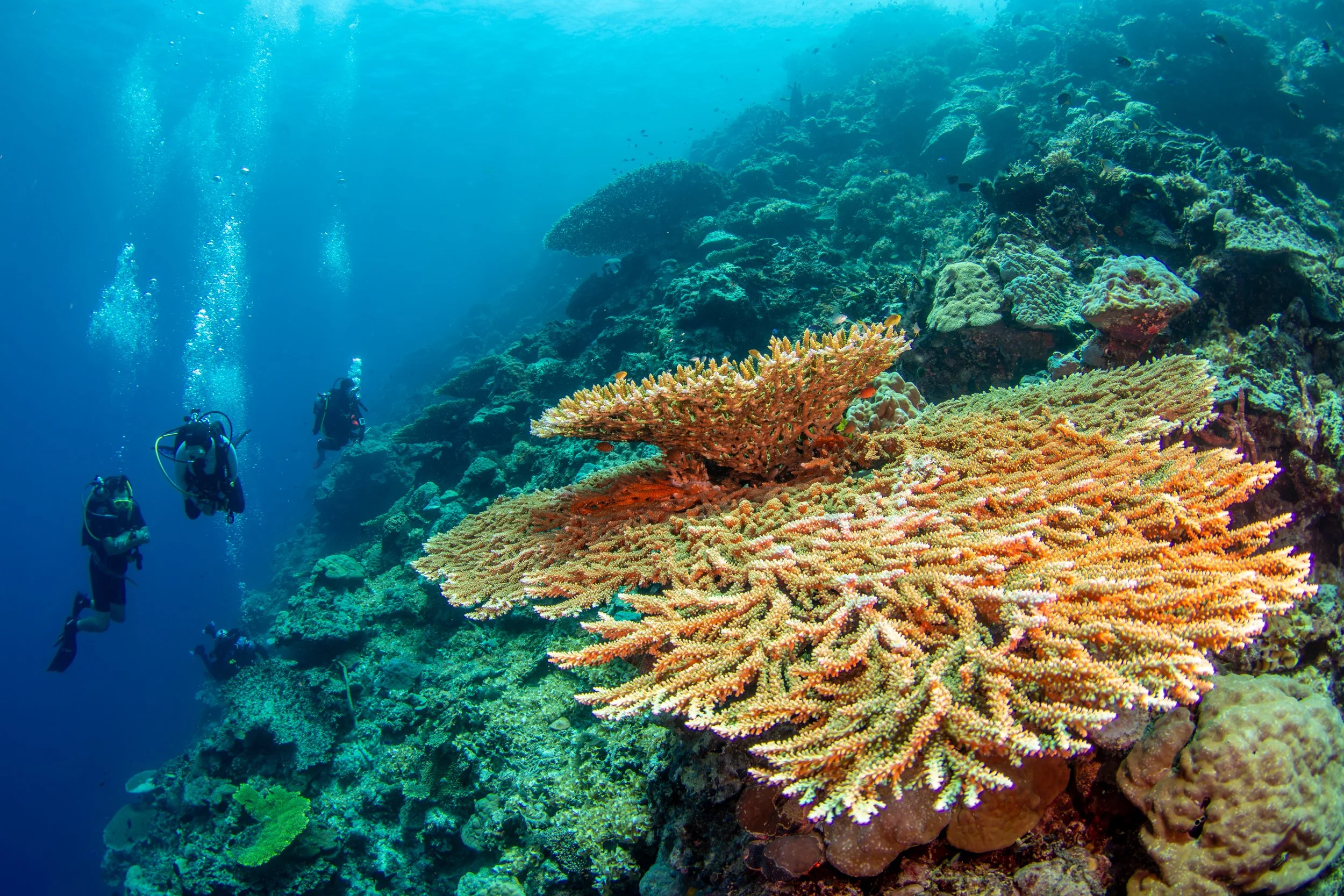 Solomon_Islands_2026-098.jpg