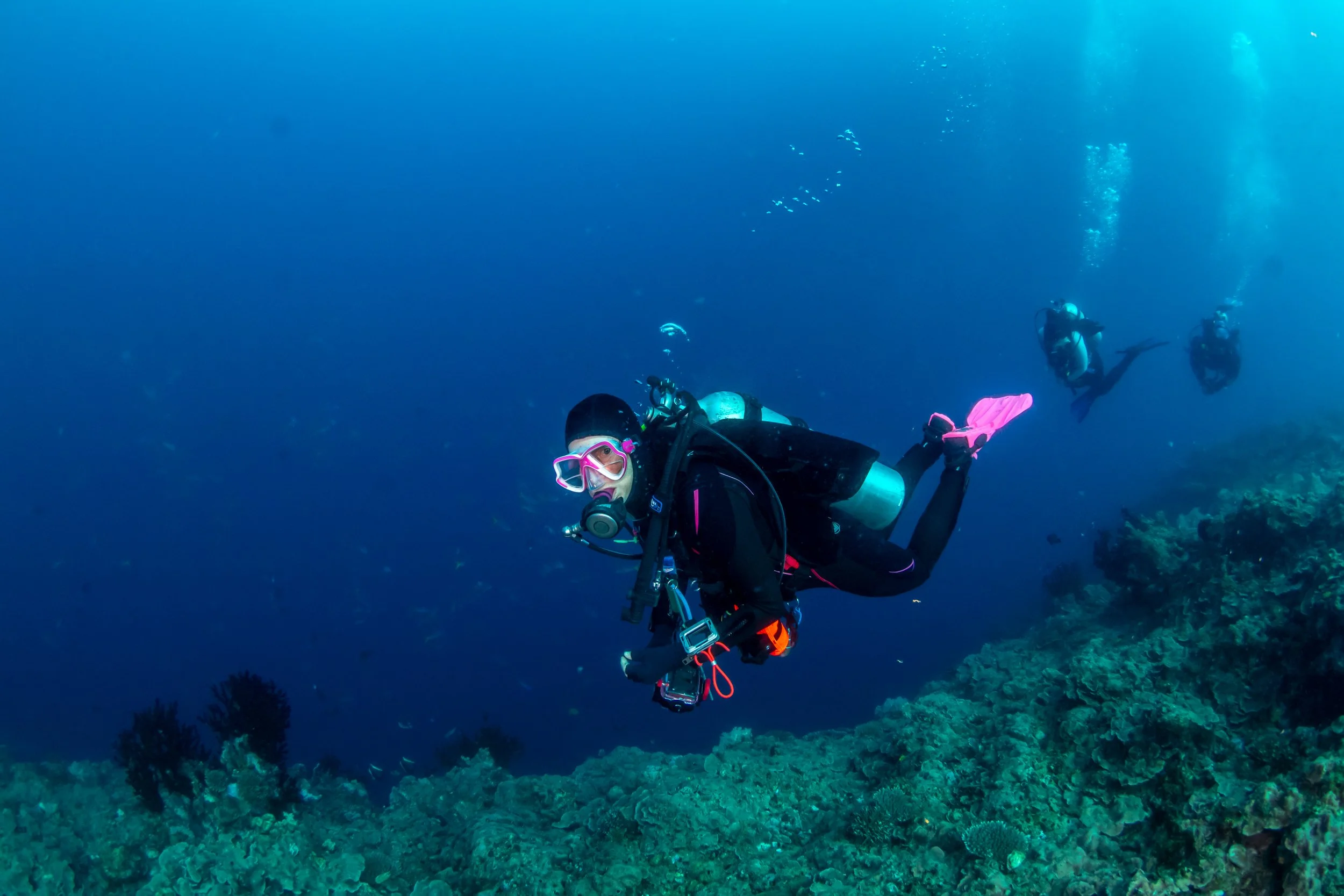 Solomon_Islands_2026-001.jpg