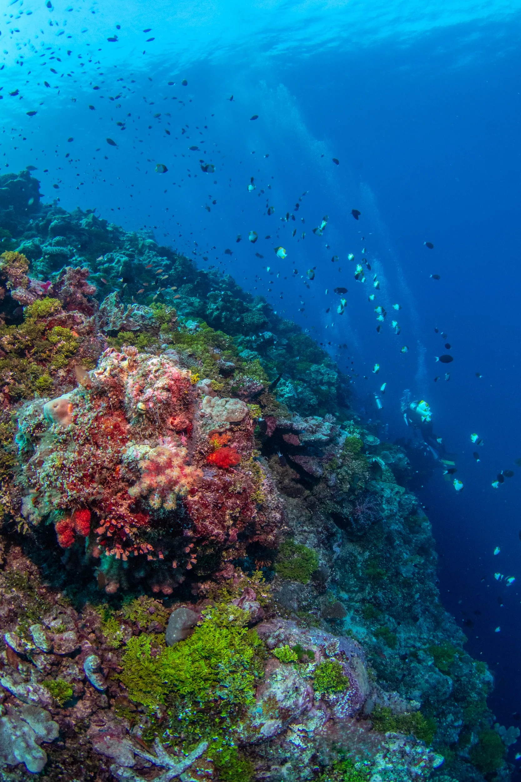 Solomon_Islands_2026-094.jpg