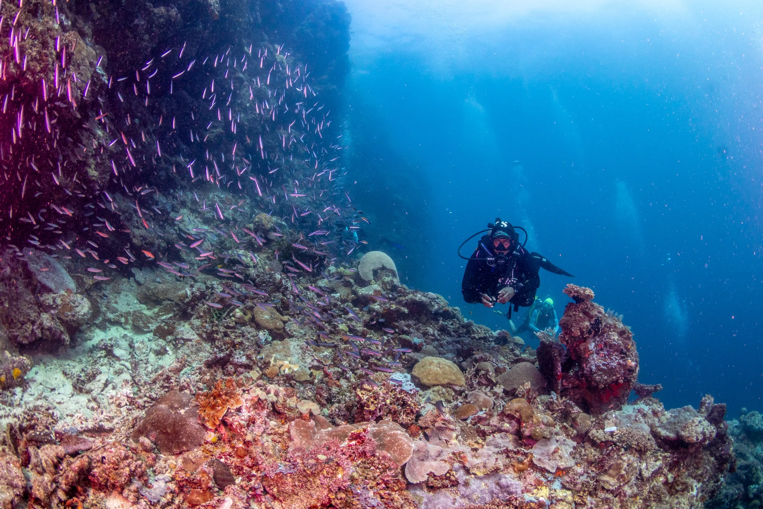 Solomon_Islands_2026-045.jpg
