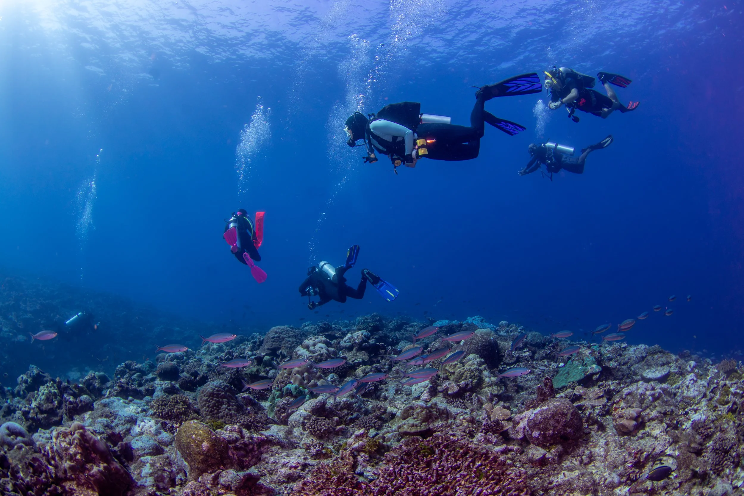 Solomon_Islands_2026-096.jpg