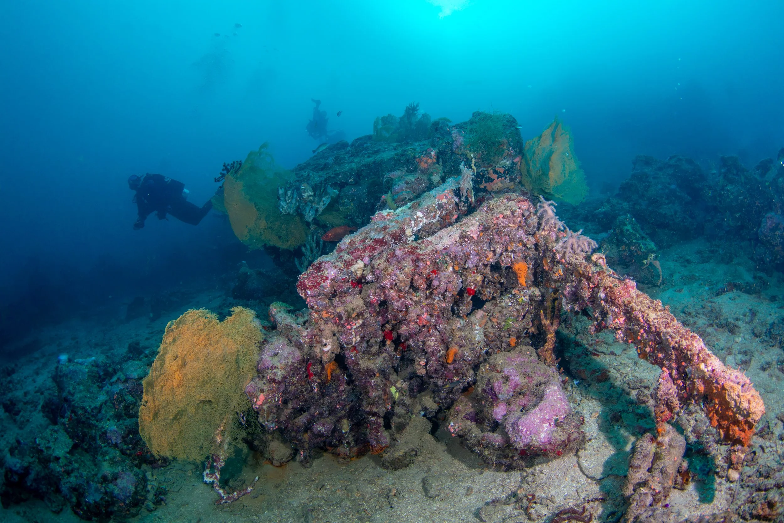 Solomon_Islands_2026-090.jpg