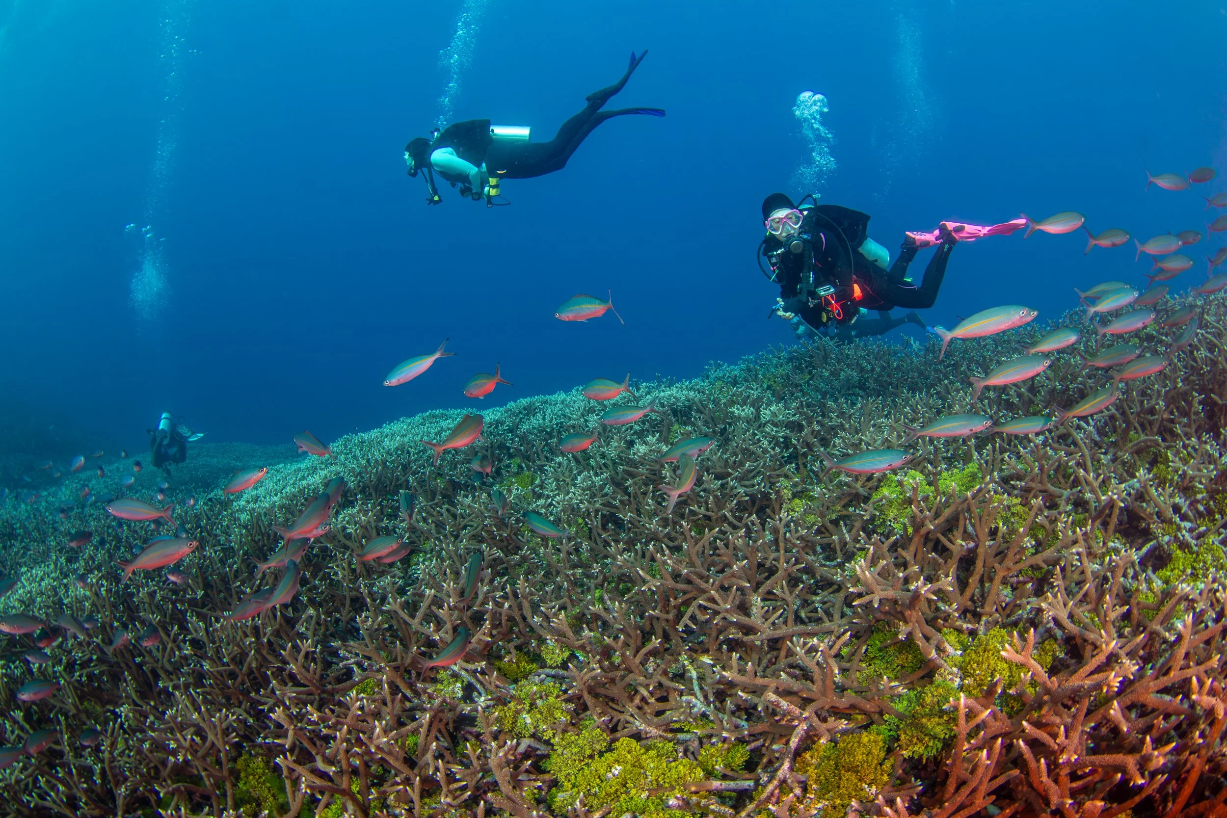 Solomon_Islands_2026-095.jpg