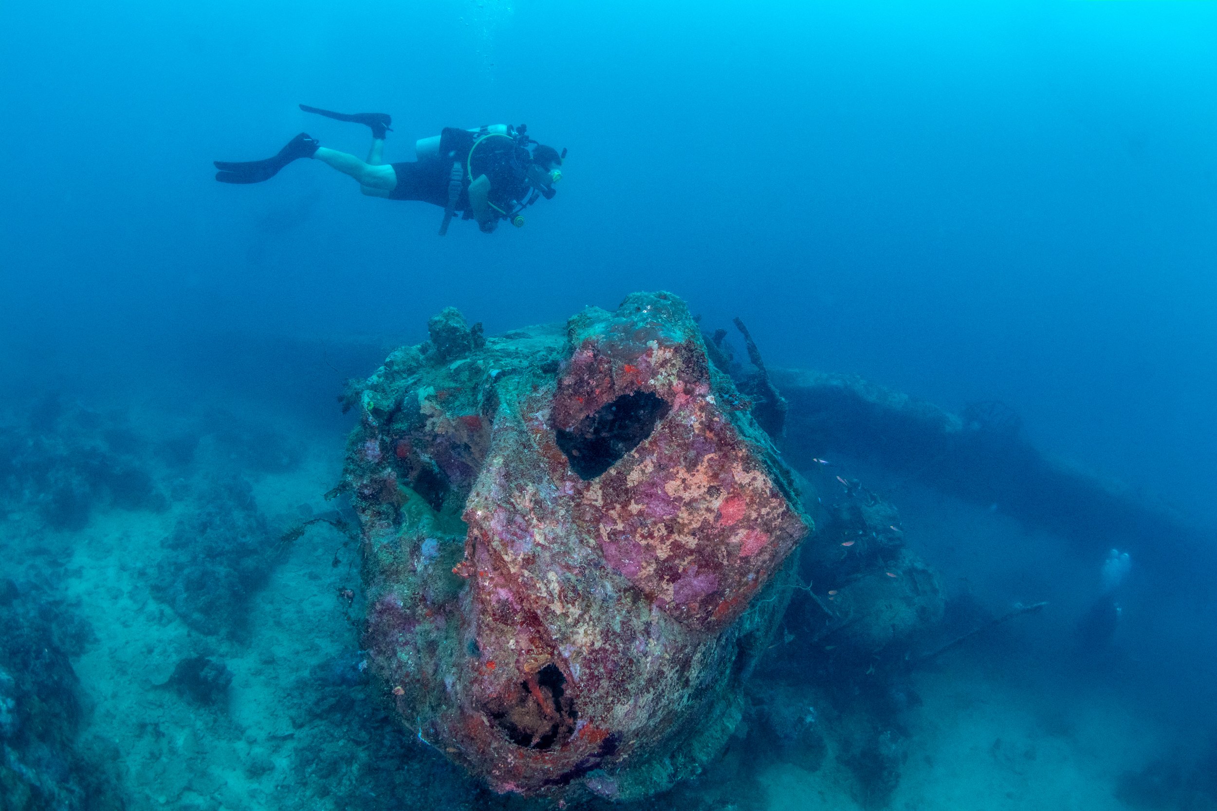 Solomon_Islands_2026-006.jpg