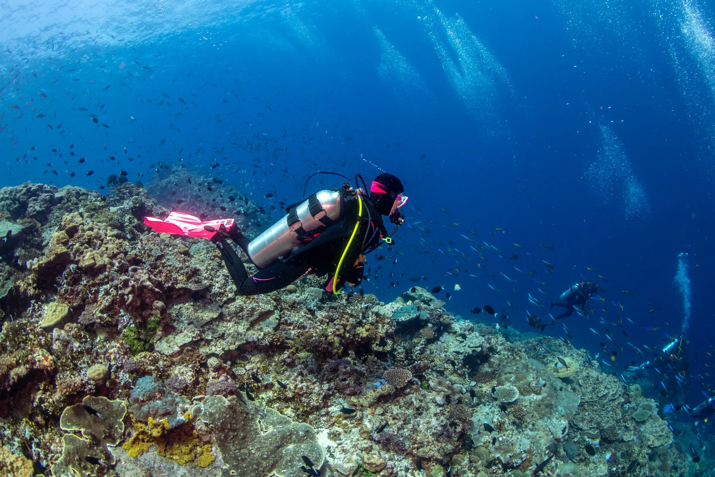 Solomon_Islands_2026-076.jpg