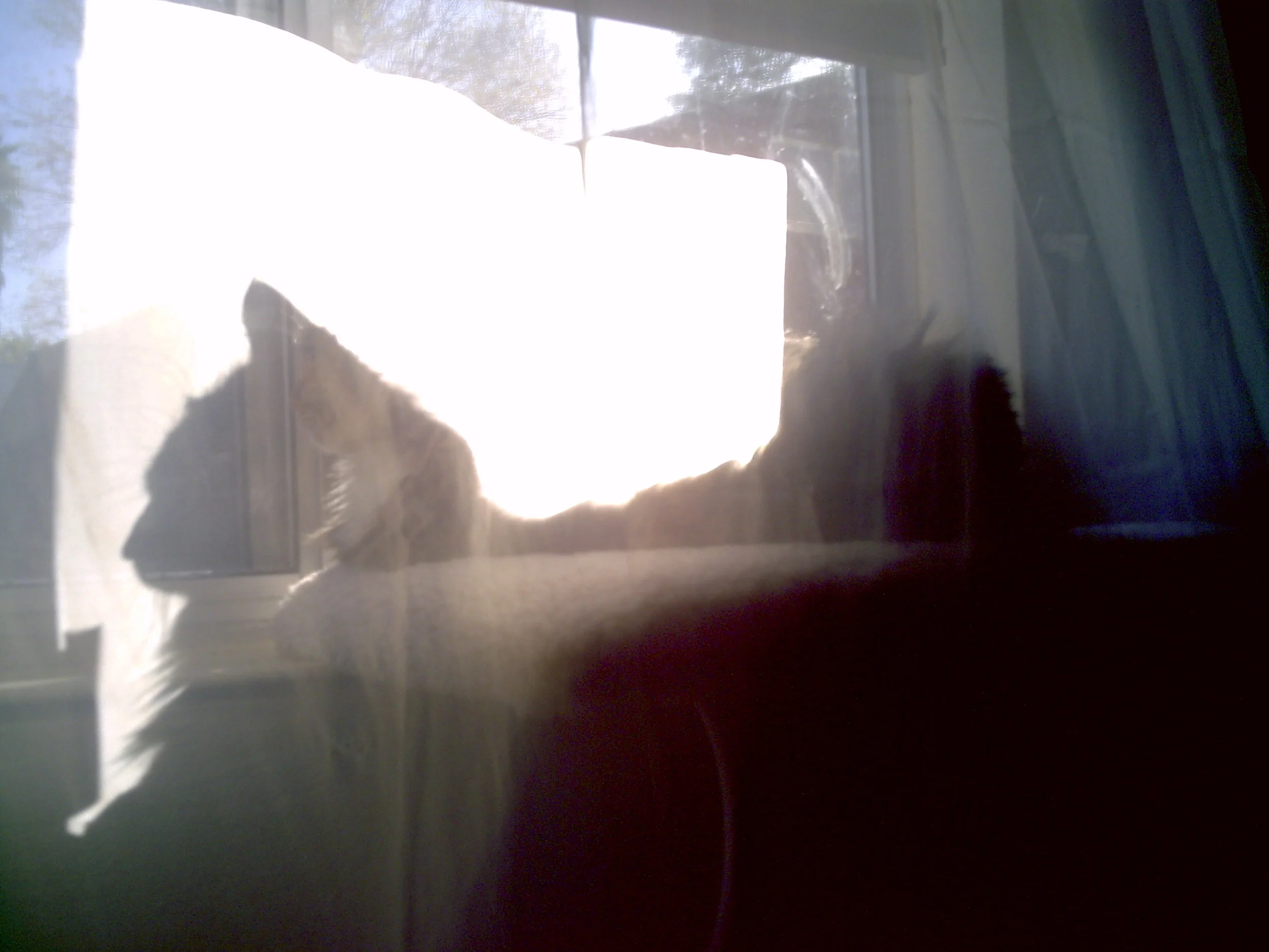 PICT0038.JPG