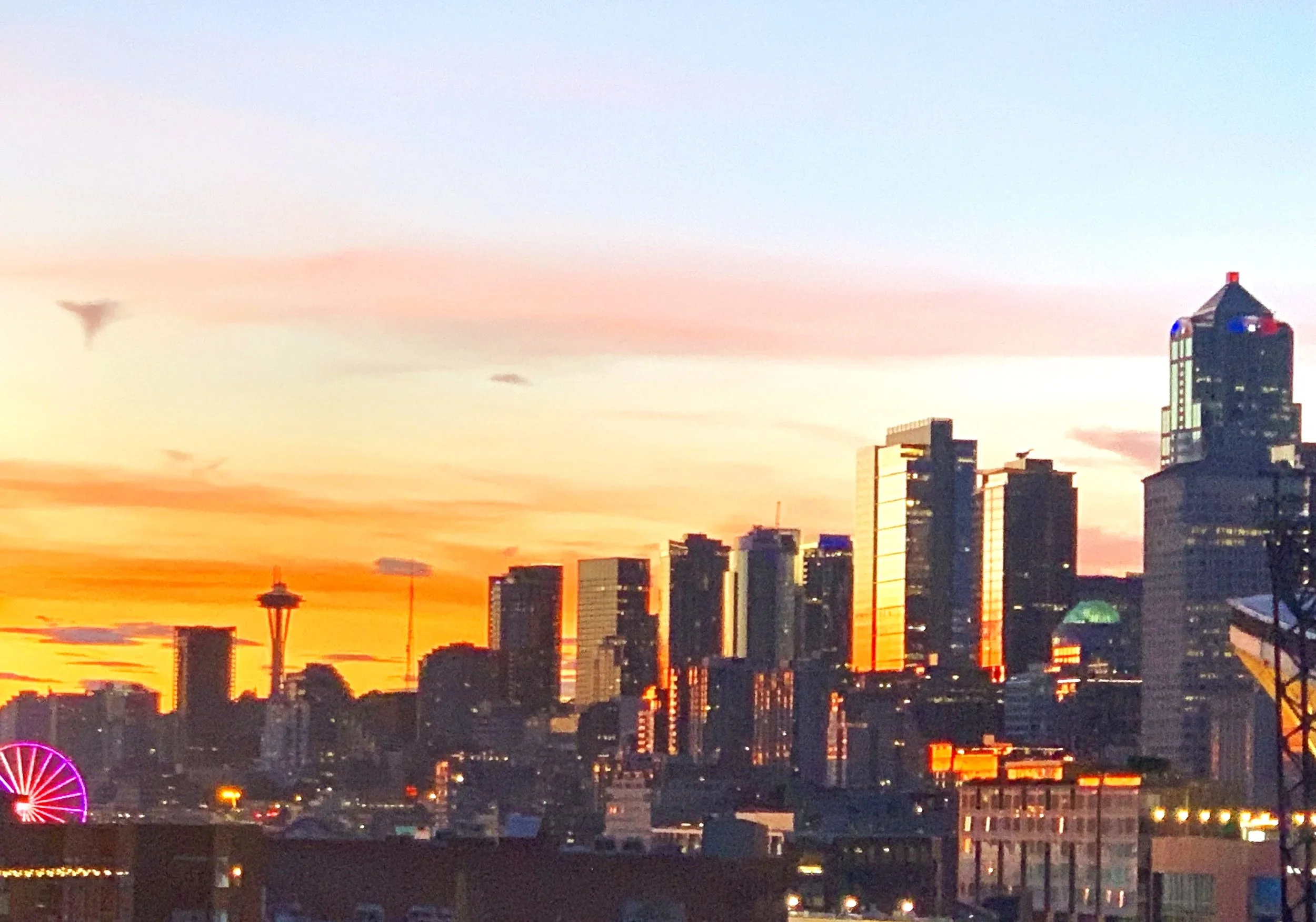Beauty in the City