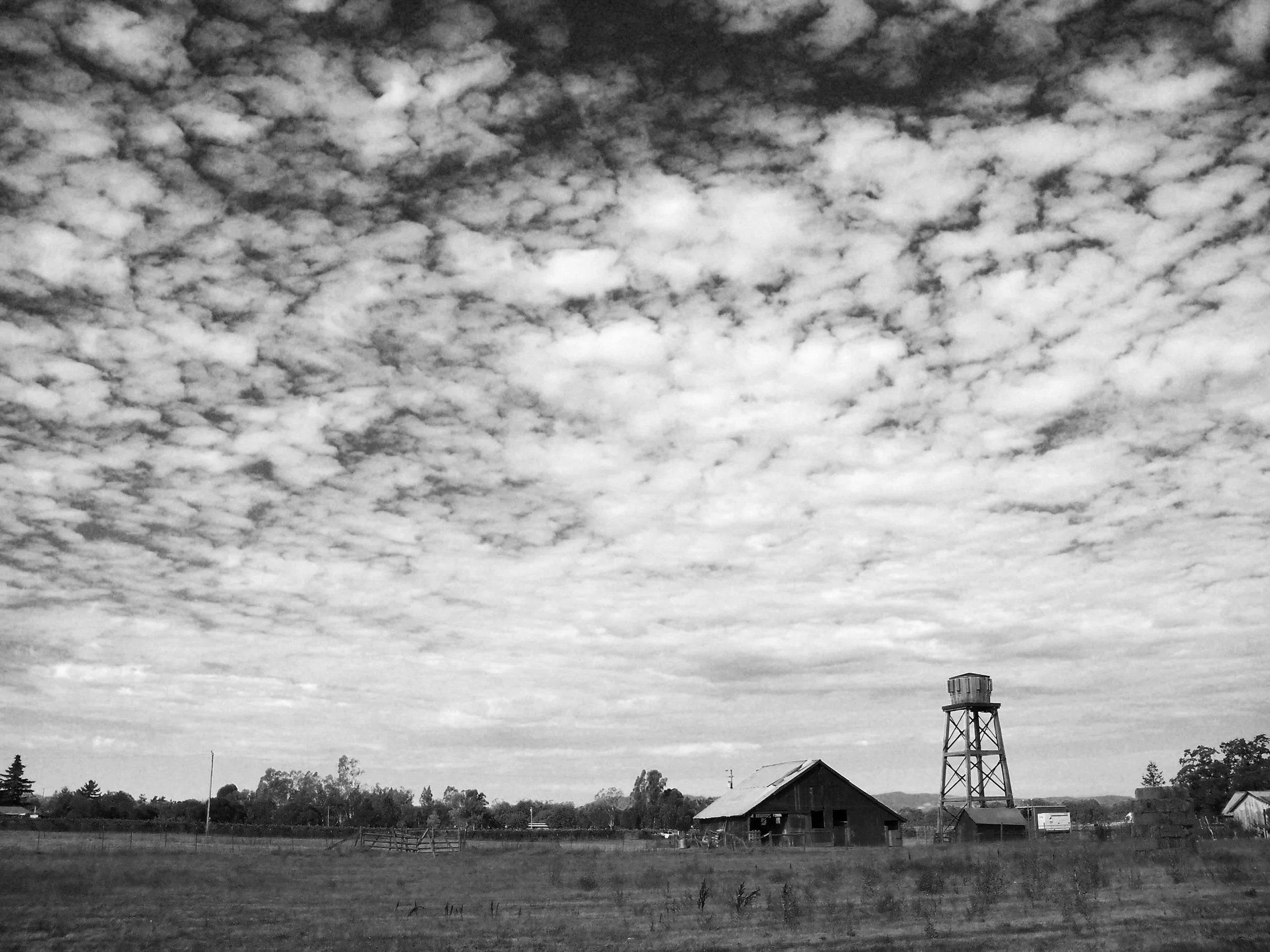 Hometown
