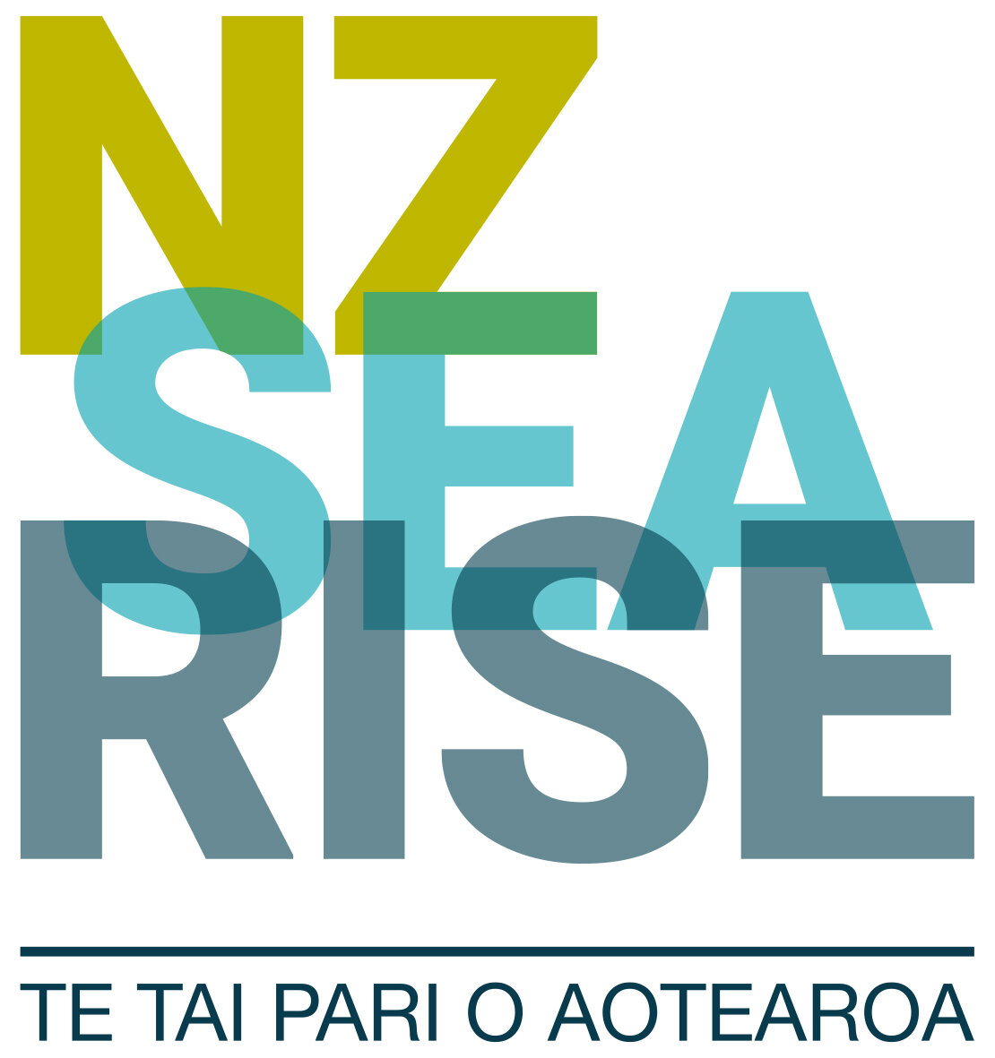 NZ SeaRise Programme