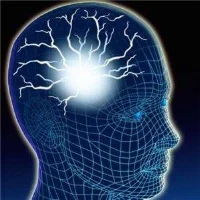 Train-Mind.jpg