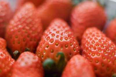 strawberries.jpeg