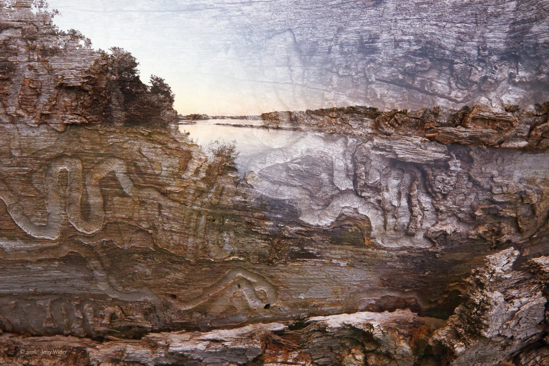 Sound Waves- Double Exposure