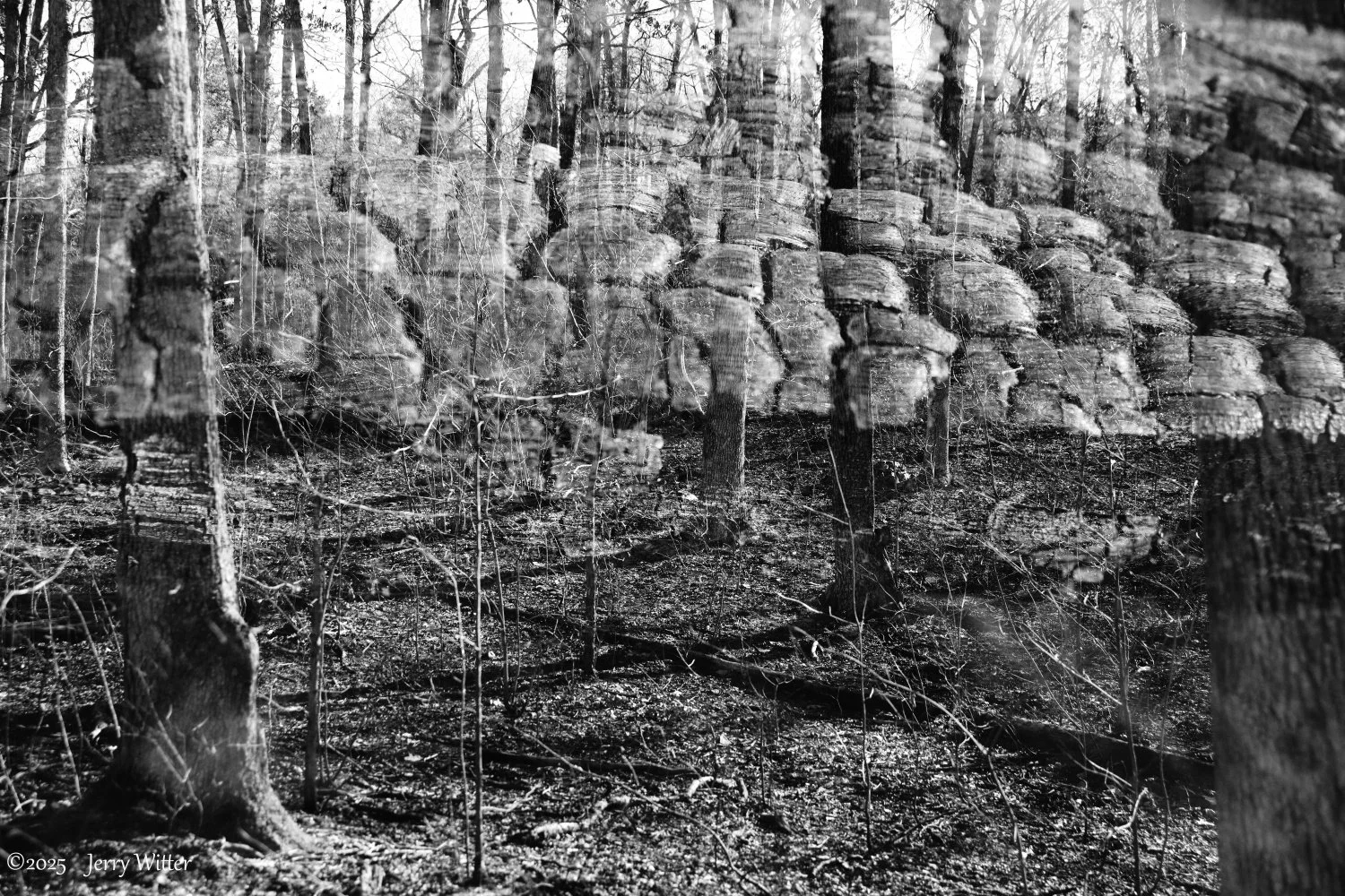 Burned Until Spring Double Exposure