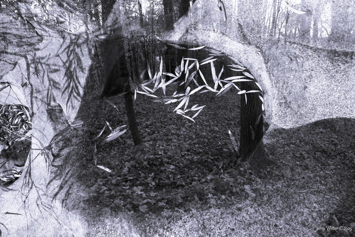 Transient Pool