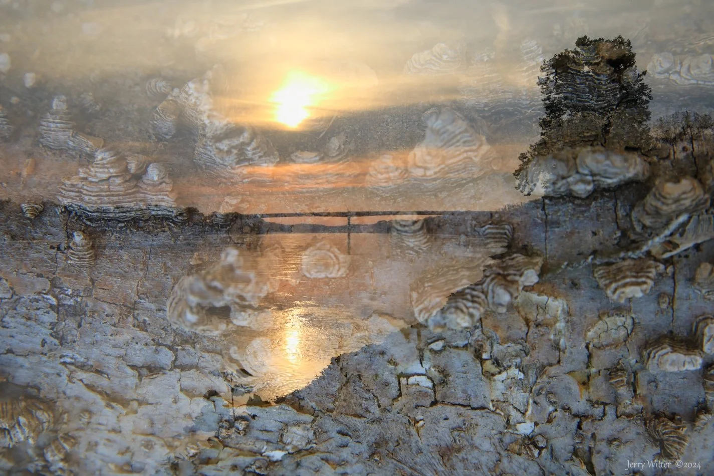 Hackberry Sunrise - Double Exposure 