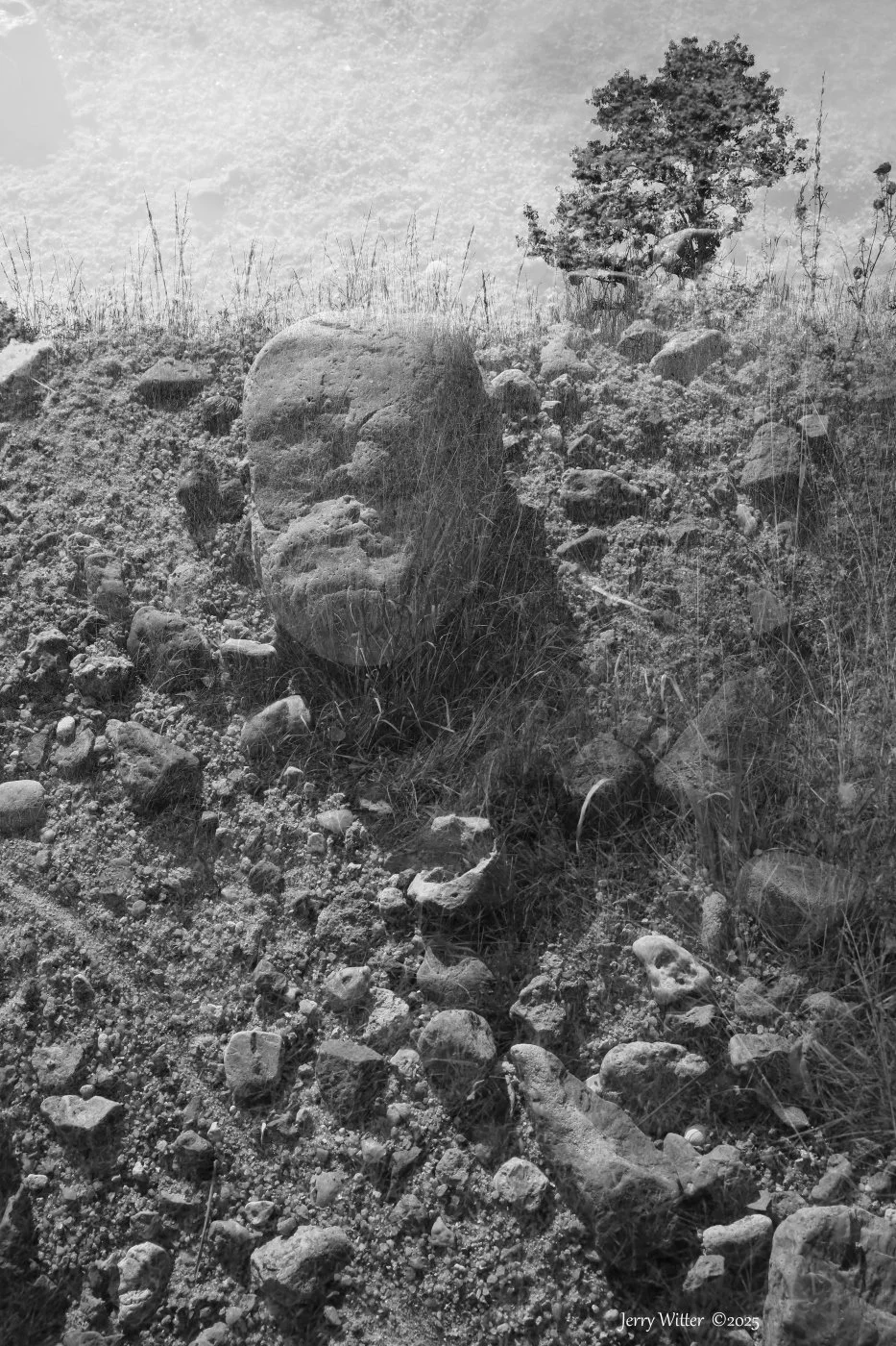 Introspective Pebble - Double Exposure of Pareidolia Image and a Landscape View