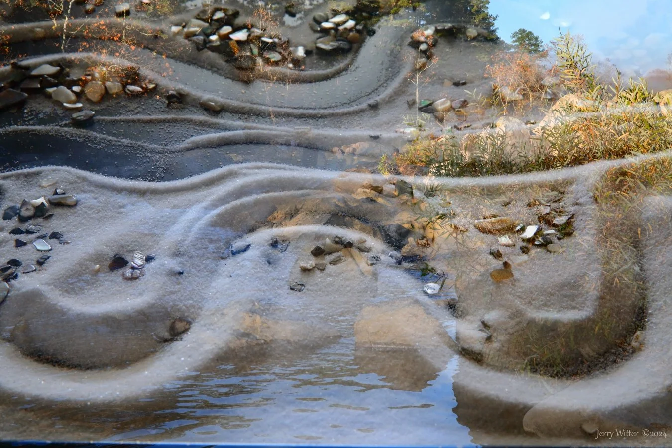 Fall Rhythms - Double Exposure