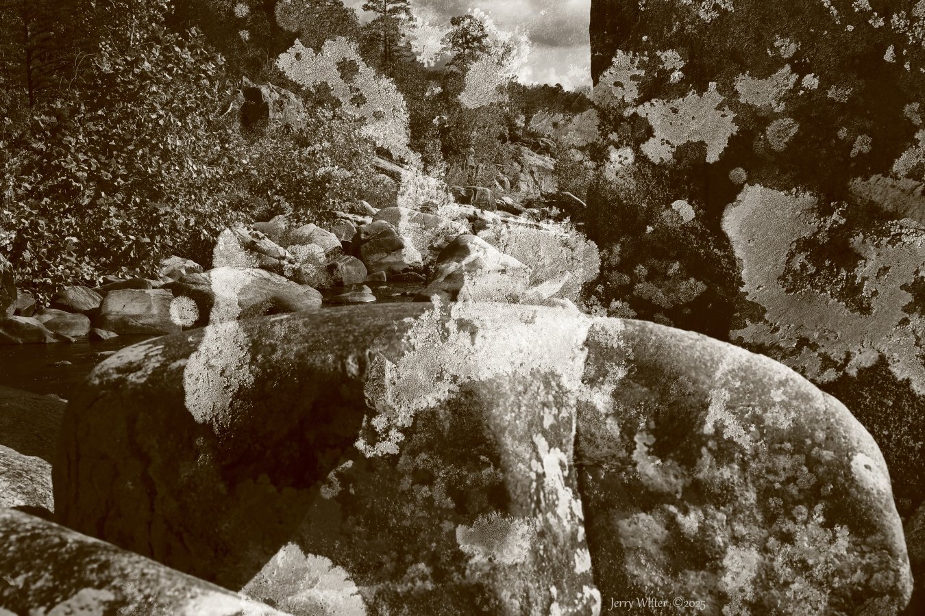 Parting of the Lichens - Double Exposure