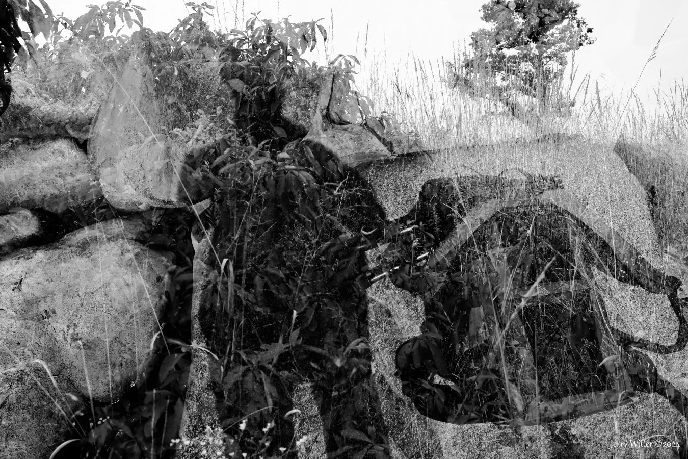 Inside Landscape - Double Exposure