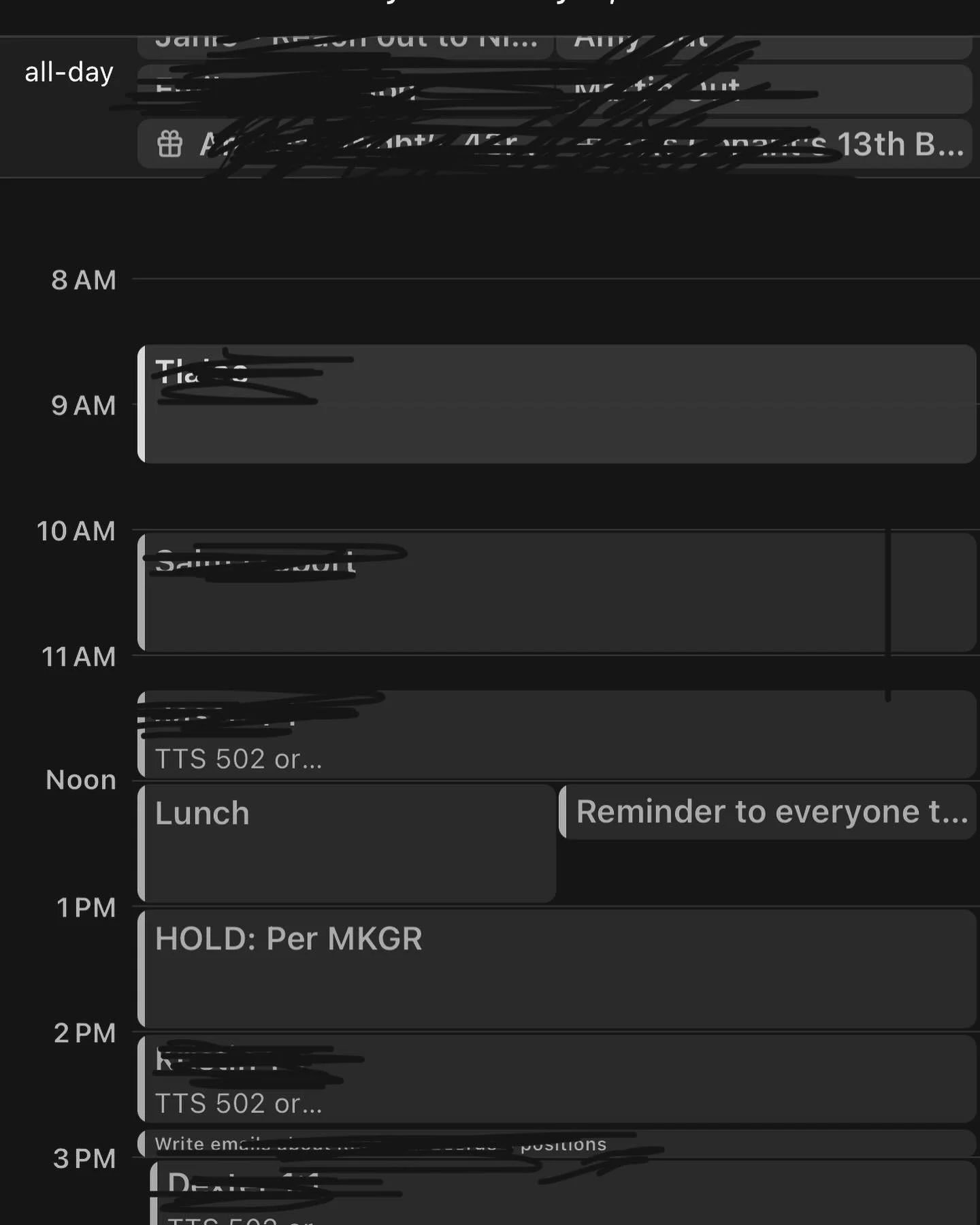 This is my first day back. The blocks are all meetings…minus lunch and my 10am - which I pulled some time for specific paperwork that is due. I may get that hold back. We shall see….if so - more paperwork for me!