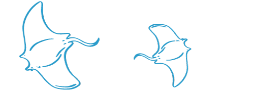 mantas02.png