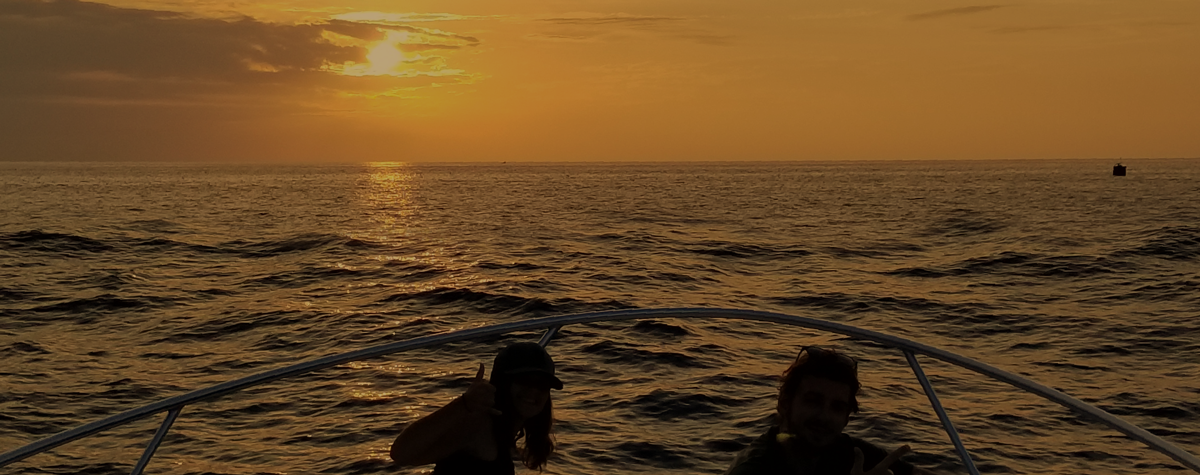 sunset_dk_resize.png