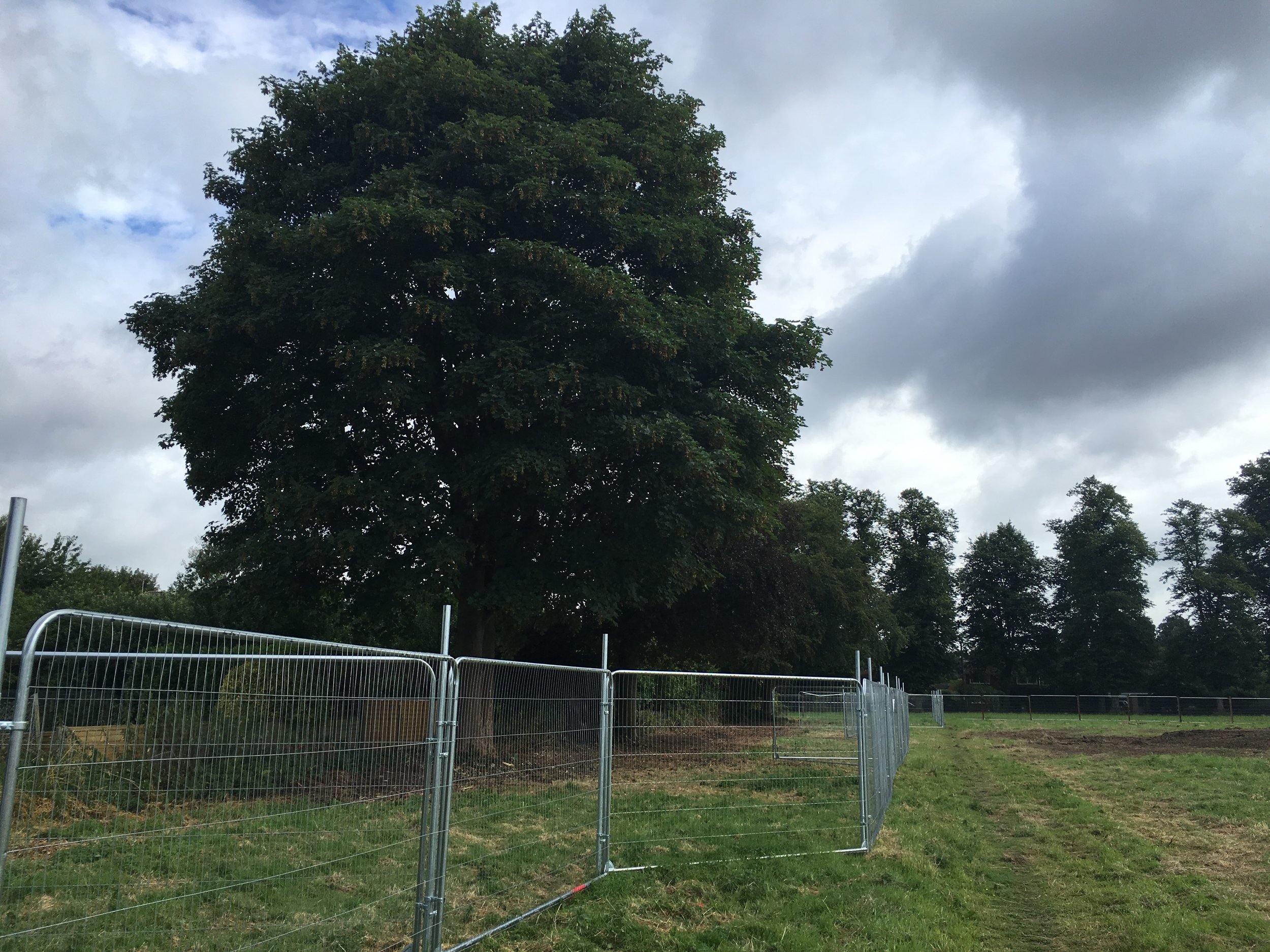  Textbook tree protection fencing on a project in Midlands undertaken with Barnes Walker landscape architects for Morris Homes. 