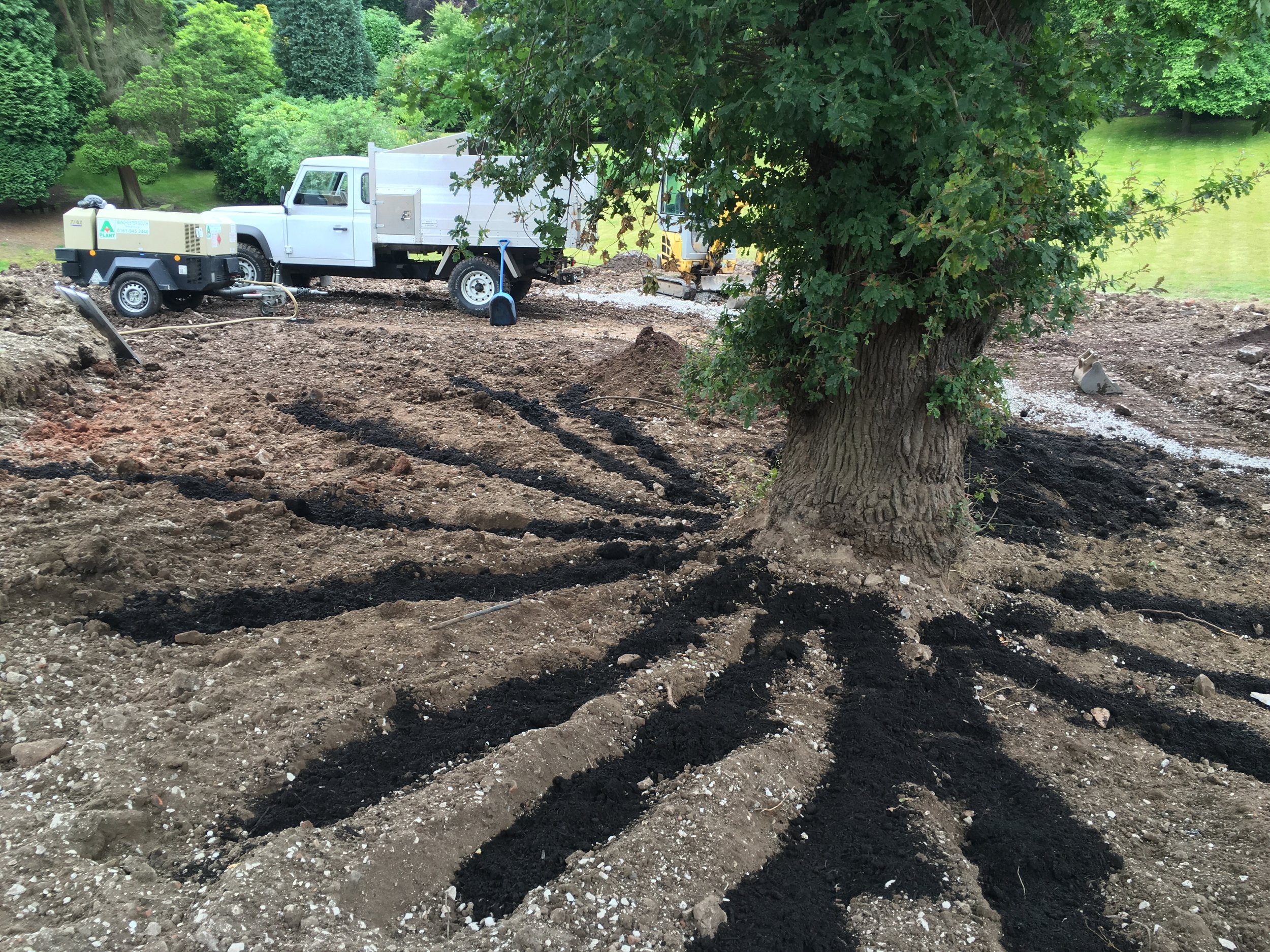  Radial trenching of a late-mature oak tree which had suffered soil compaction on a develop site.  We specified and undertook the work direct. 