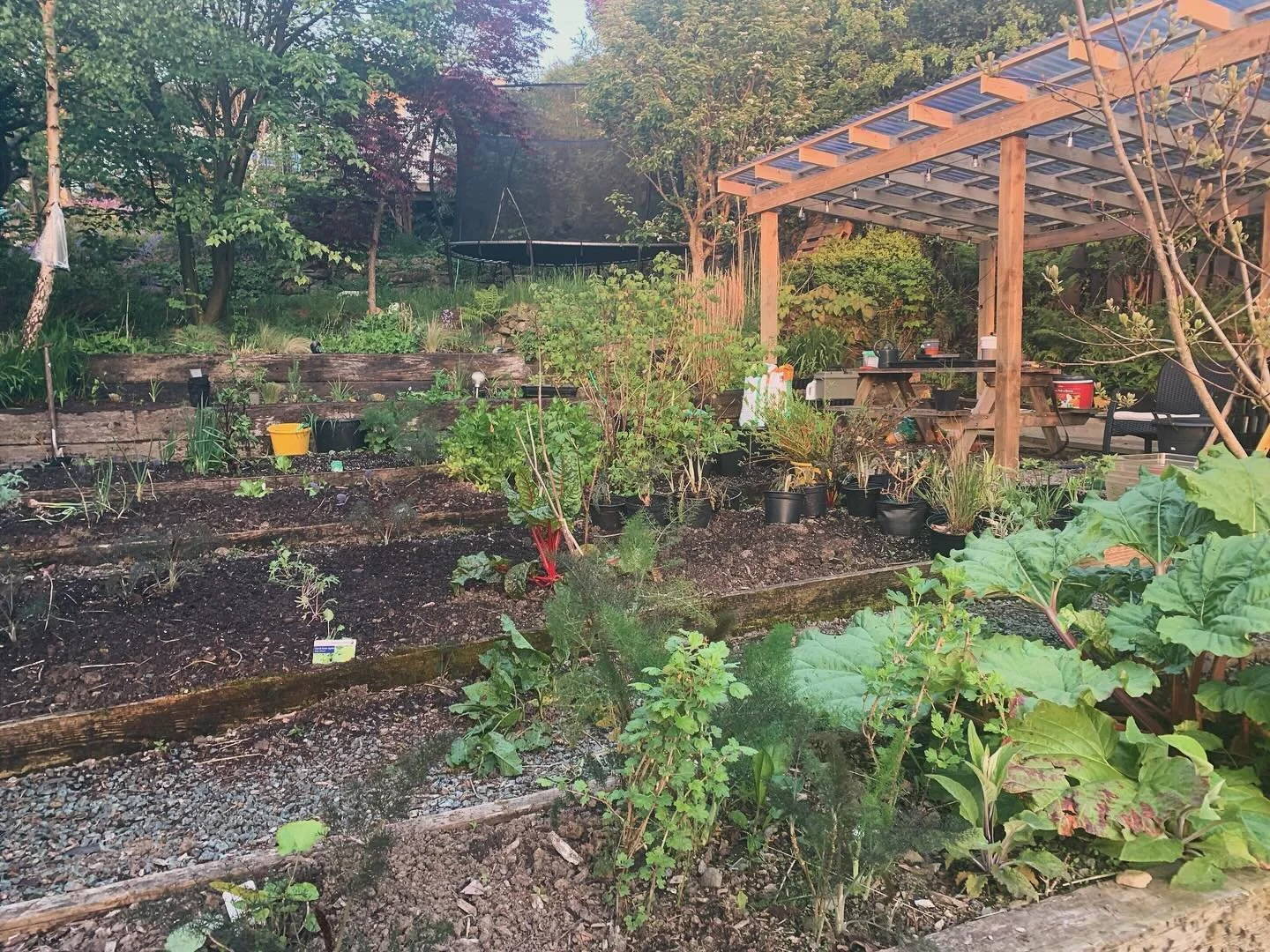 Spring? Maybe. Almost&hellip;
#garden #vegetables #longwinter #trees