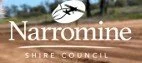 Council logo website .jpg