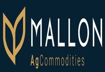 Mallon .jpg