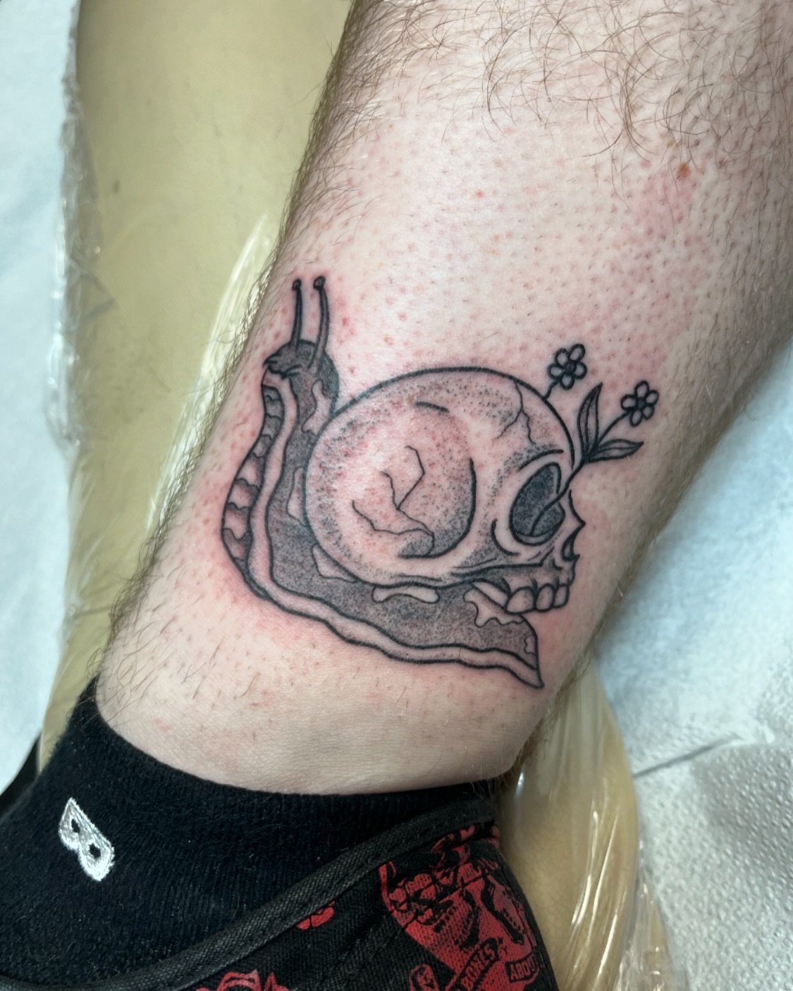 Skull snail from my flash 🐌☠️
Booking for May-June! 🌞
Plenty of flash I would love to tattoo 💖
-
-
-
#snail #snailtattoo #buffalo #blackandgrey #buffalotattooartist #buffalony #tattooart #snailtattoo #buffalotattooshop #flashtattoo #tattooideas #t