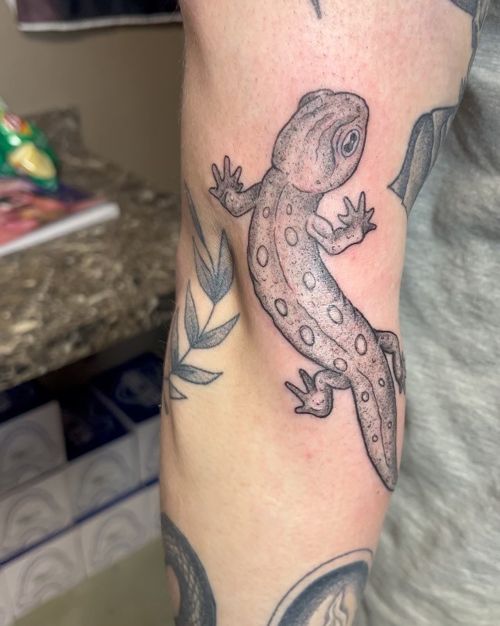 Just a lil newt 🦎
Booking for May-June 🌞
-
-
-
#blackandgrey #newt #newtattoo #tattoo #tattooartist #tattoodesign #tattooed #salamander #nature #amphibian #blackandgreytattoo #buffalony #buffalotattooartist #wny #716 #booksopen #buffalove #buffalot