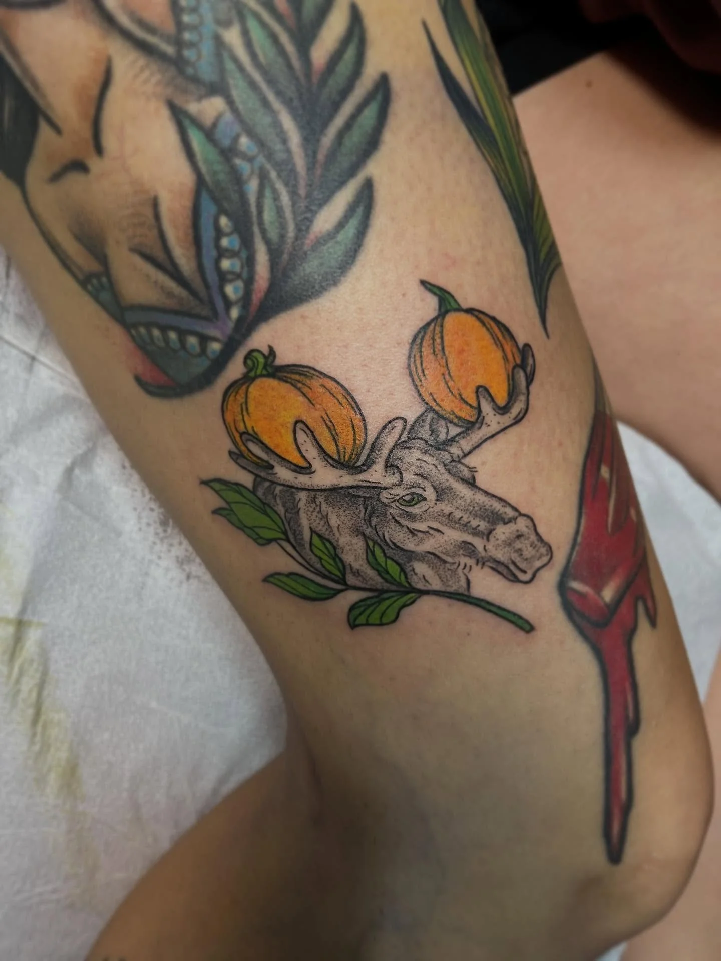 Some cute and spooky flash I got to tattoo this month 🎃❤️🎃 
Booking for December! ✨
-
-
-
#tattoos #halloween #halloweenflash #halloweentattoos #tattooartist #tattooflash #horrortattoo #animals #buffalony #buffalove #buffalotattooshop #nytattooshop